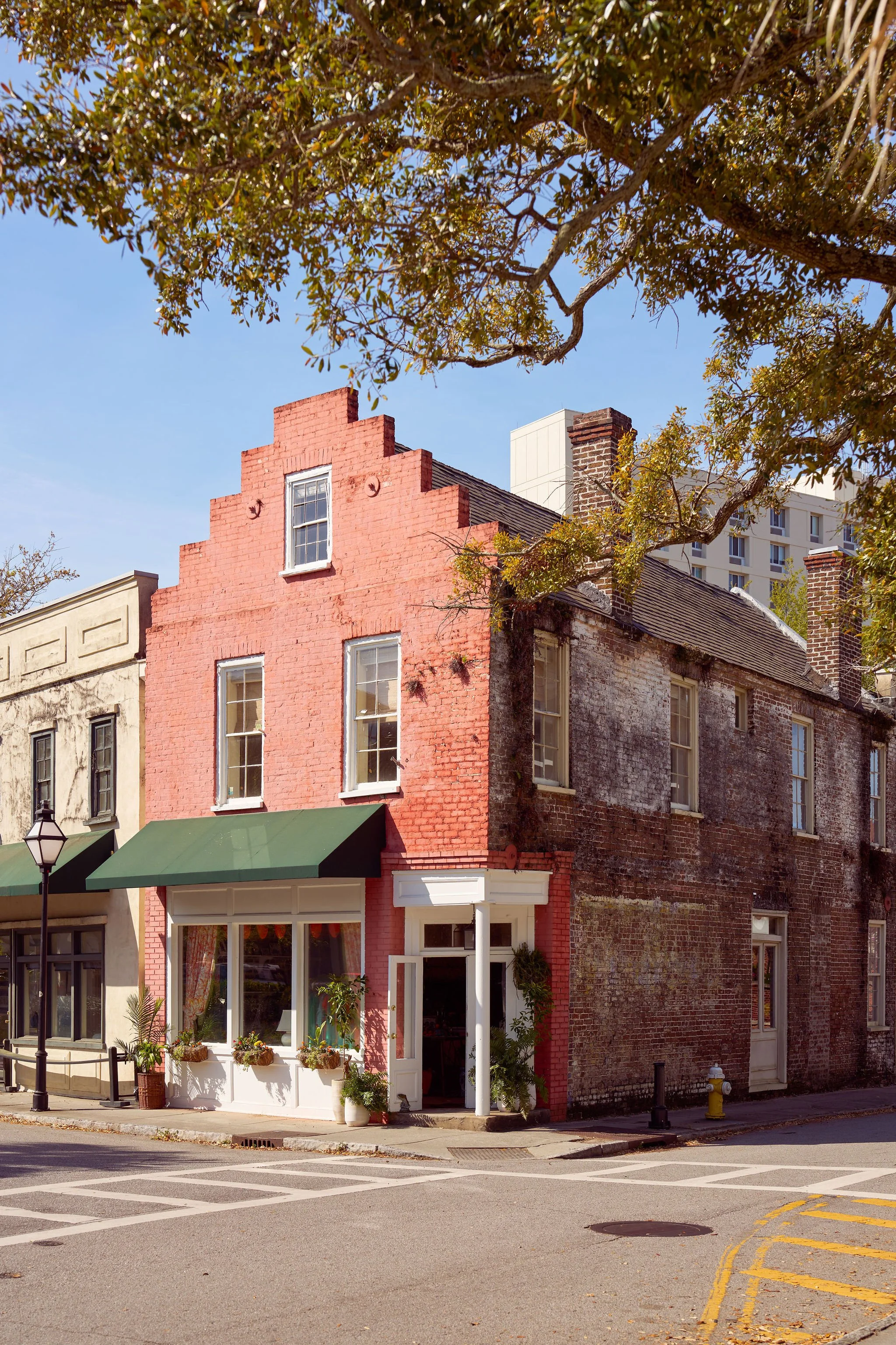 ConiglioCharleston-CameronWilder-002.jpg