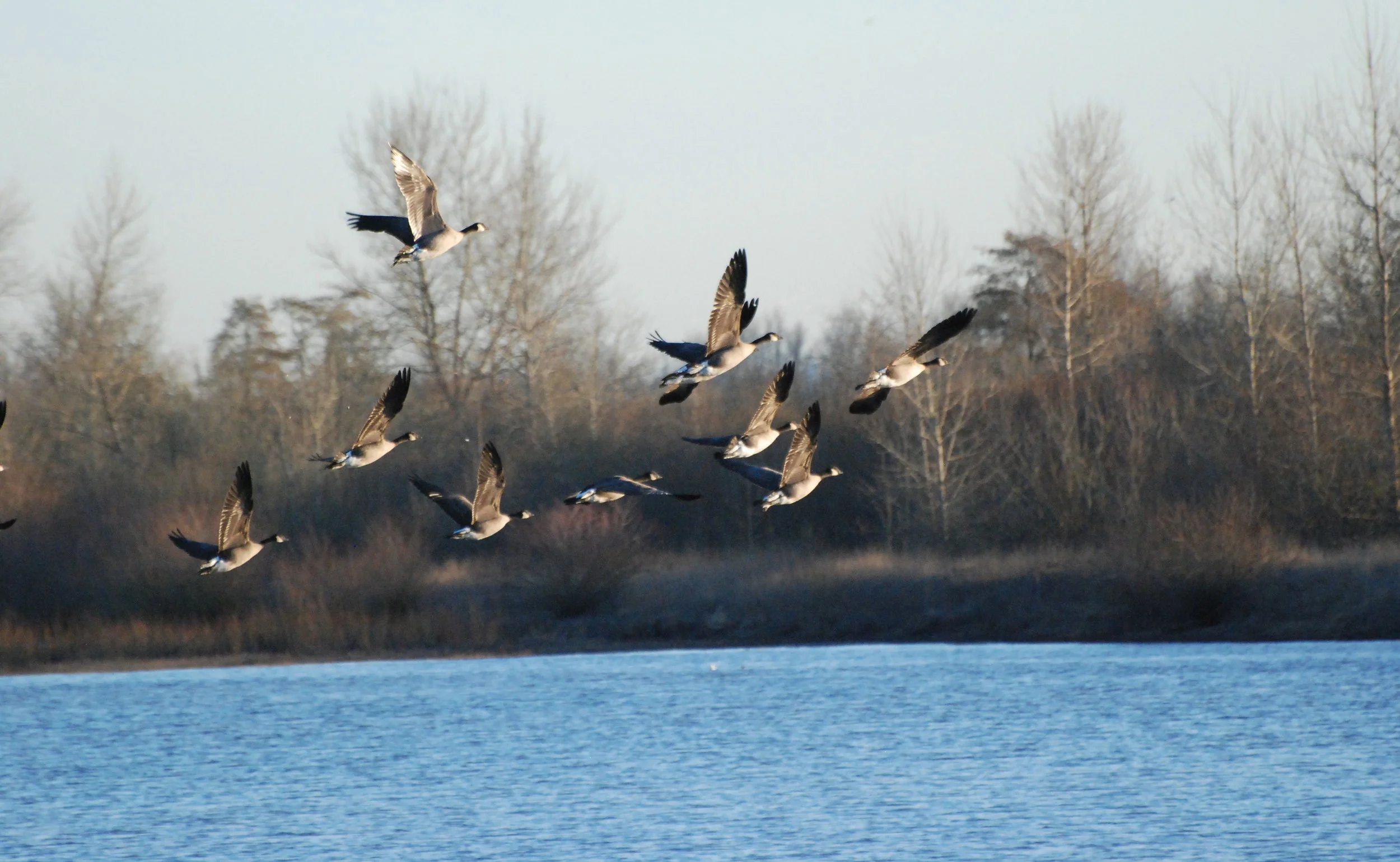 DSC_0276.jpg