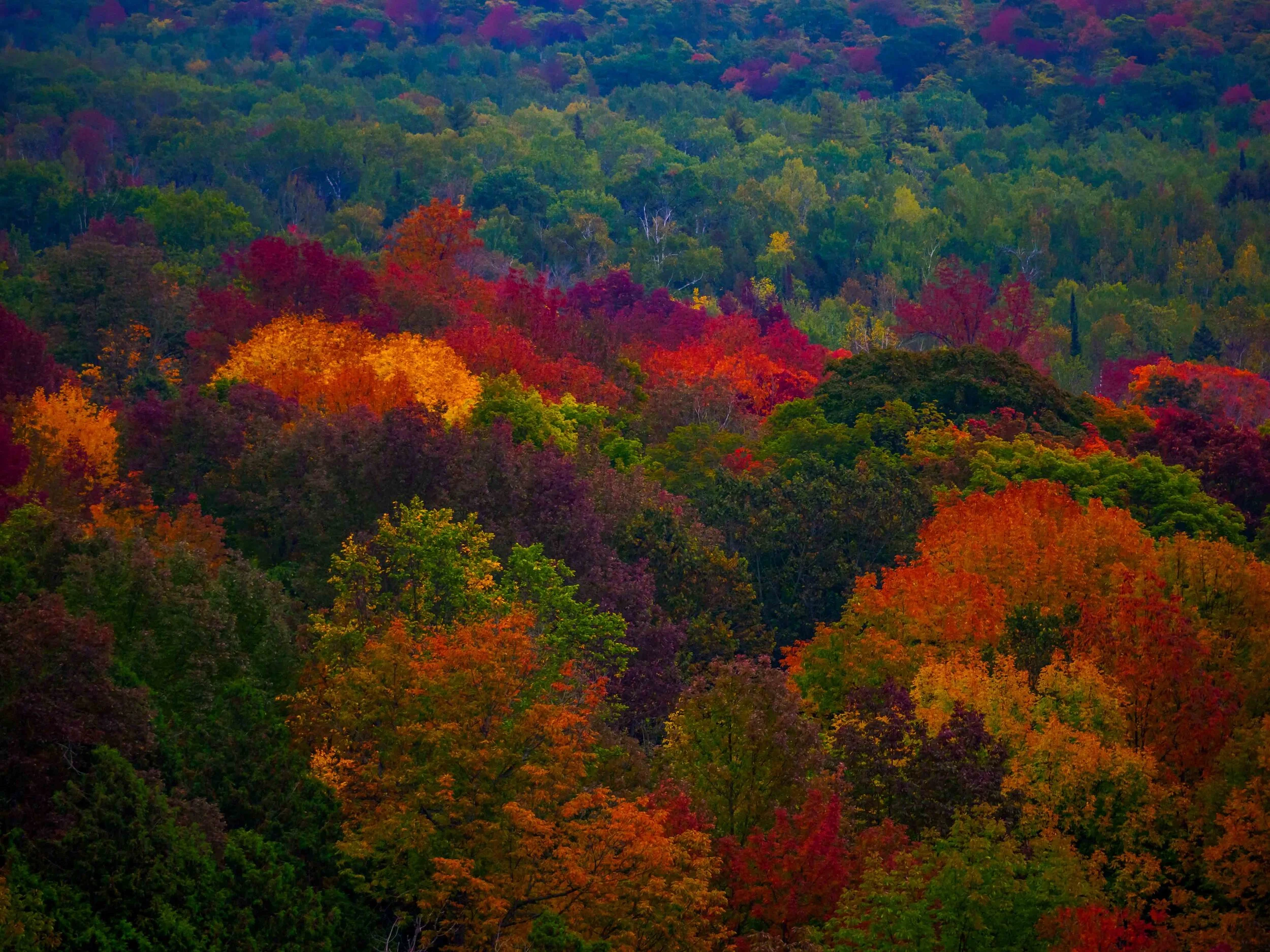 Autumn 2020 Post .jpg