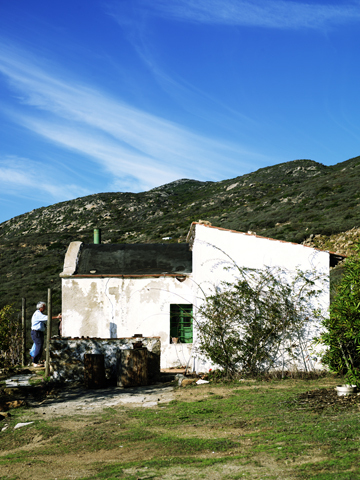 Gourmet Traveller