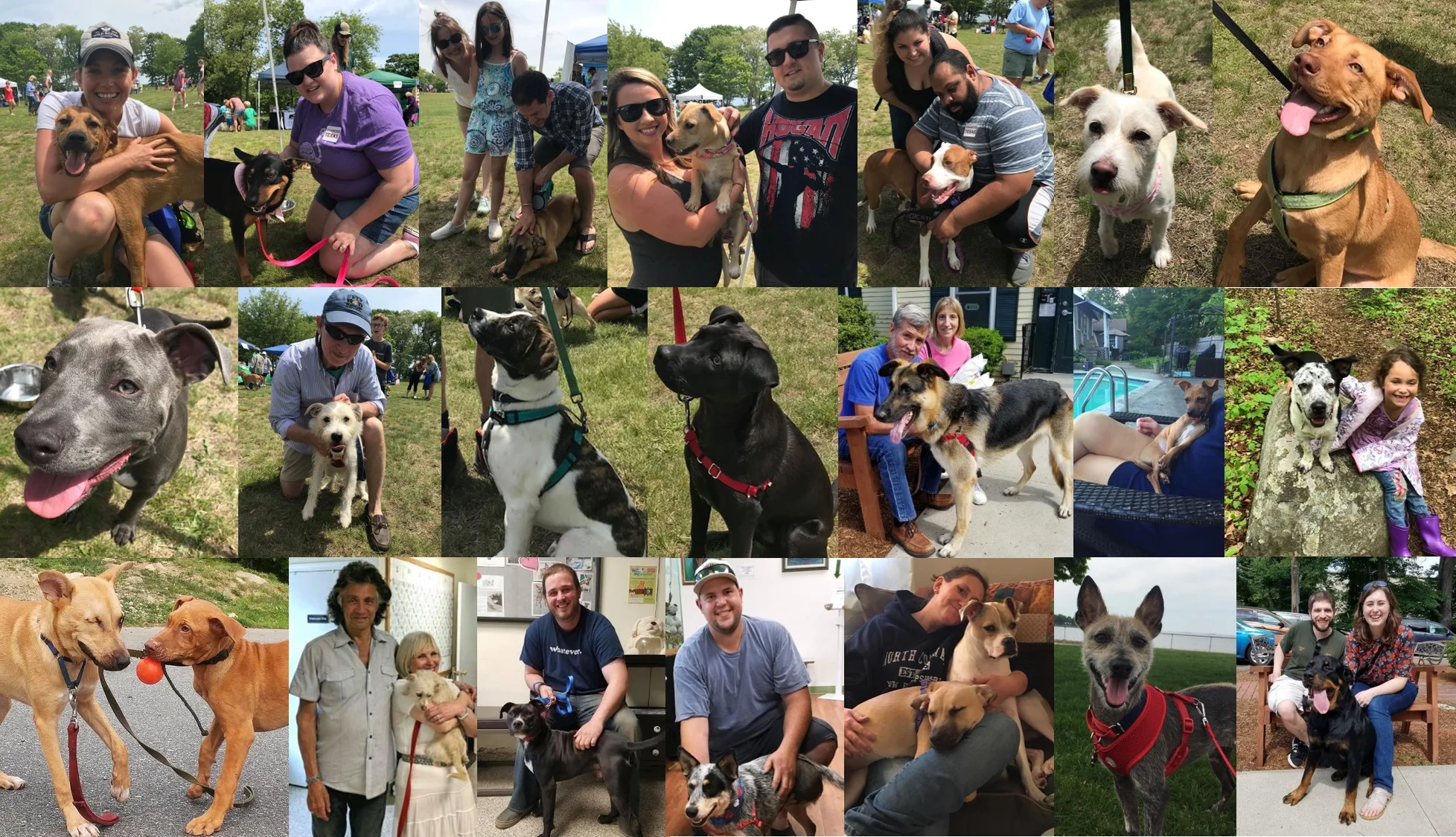1st row: Charlie, Delilah, Geordie (FKA Scamp), Harley (Aurora), Harry (FKA Patches), Ripple, Kane (FKA Linus) 2nd row: Kooper (FKA Stoney), Layla (FKA Sophia), Louie (FKA Duke), Louie (FKA Liman), Dallas, Verdell (FKA Billy), Sargent Pepper (Lil Bit) 3rd row: Lucy & Solider, Queenie, Baxter, Mama Porter, Cammie (FKA Chelsea), Boomer, Teddy (FKA Burt)