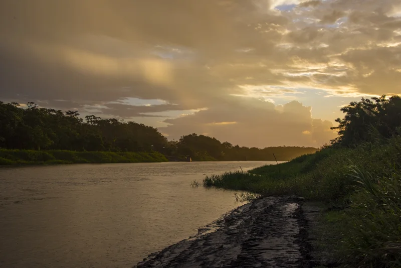 An Amazon sunset.