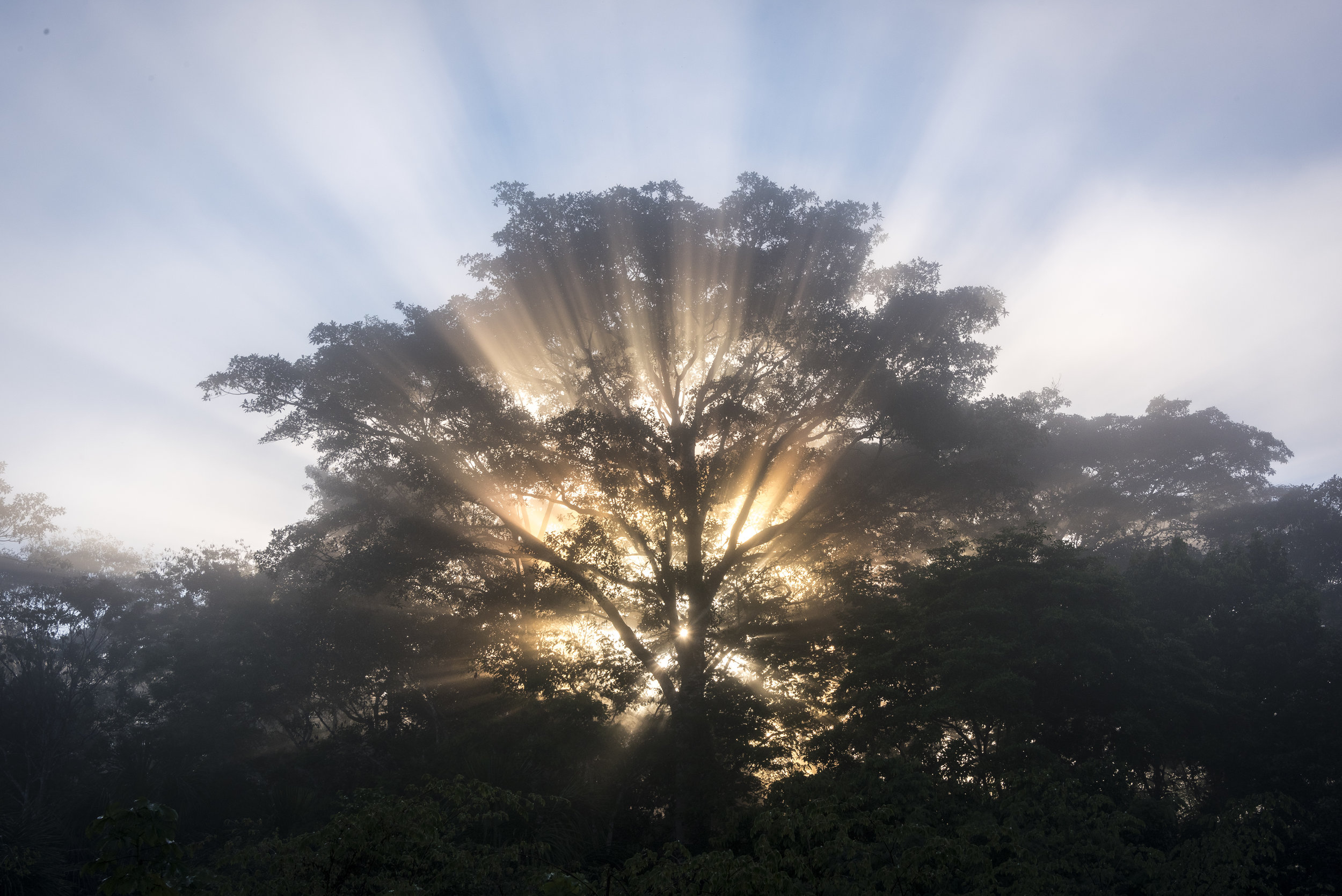 Sanctuary sunrise, photo by Andre Mercier.