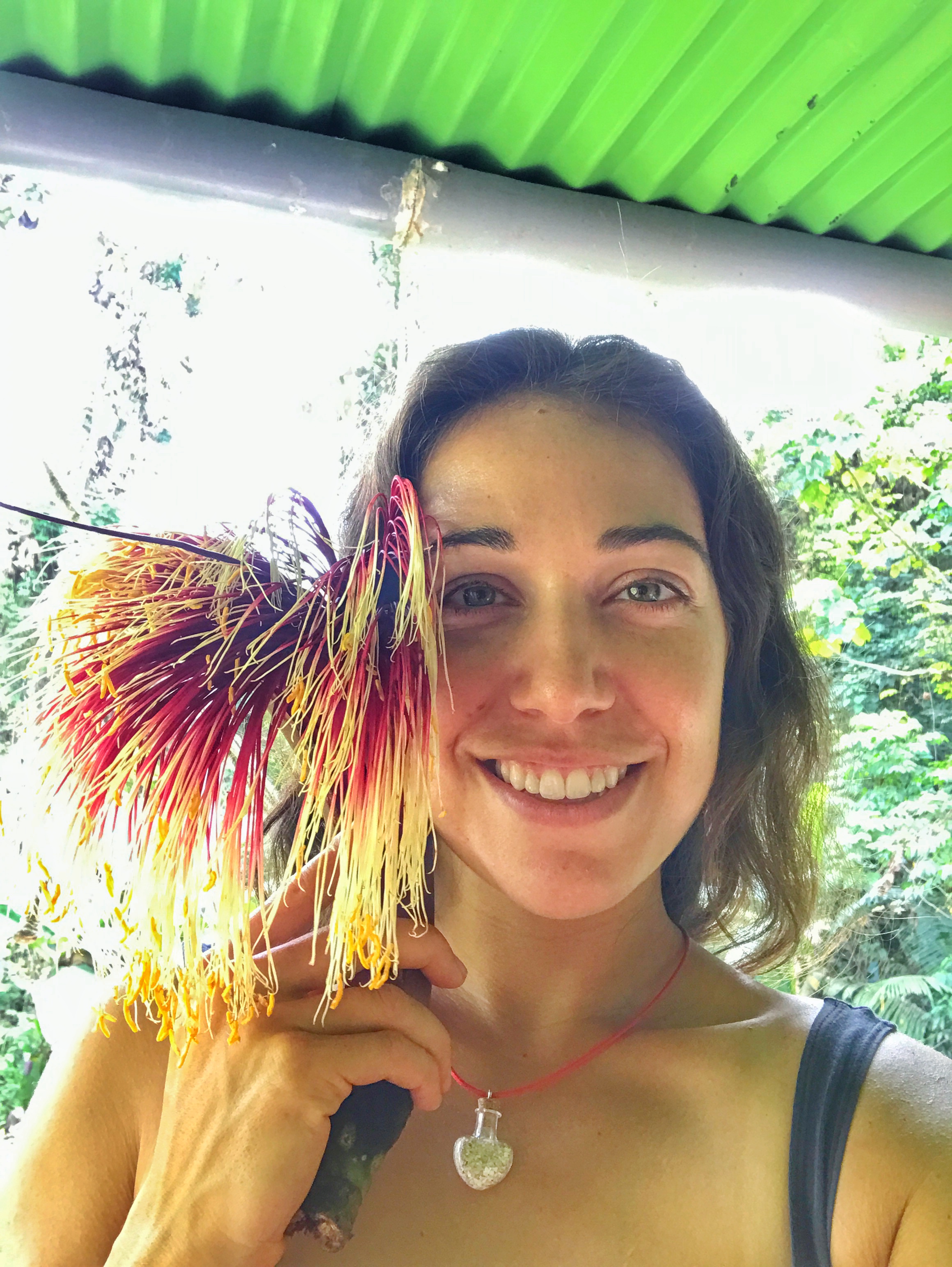 A wild jungle flower that smelled like a lily and tuberose!