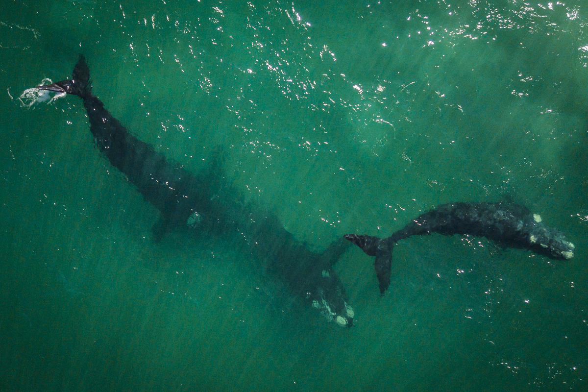 DJI_0869.jpg