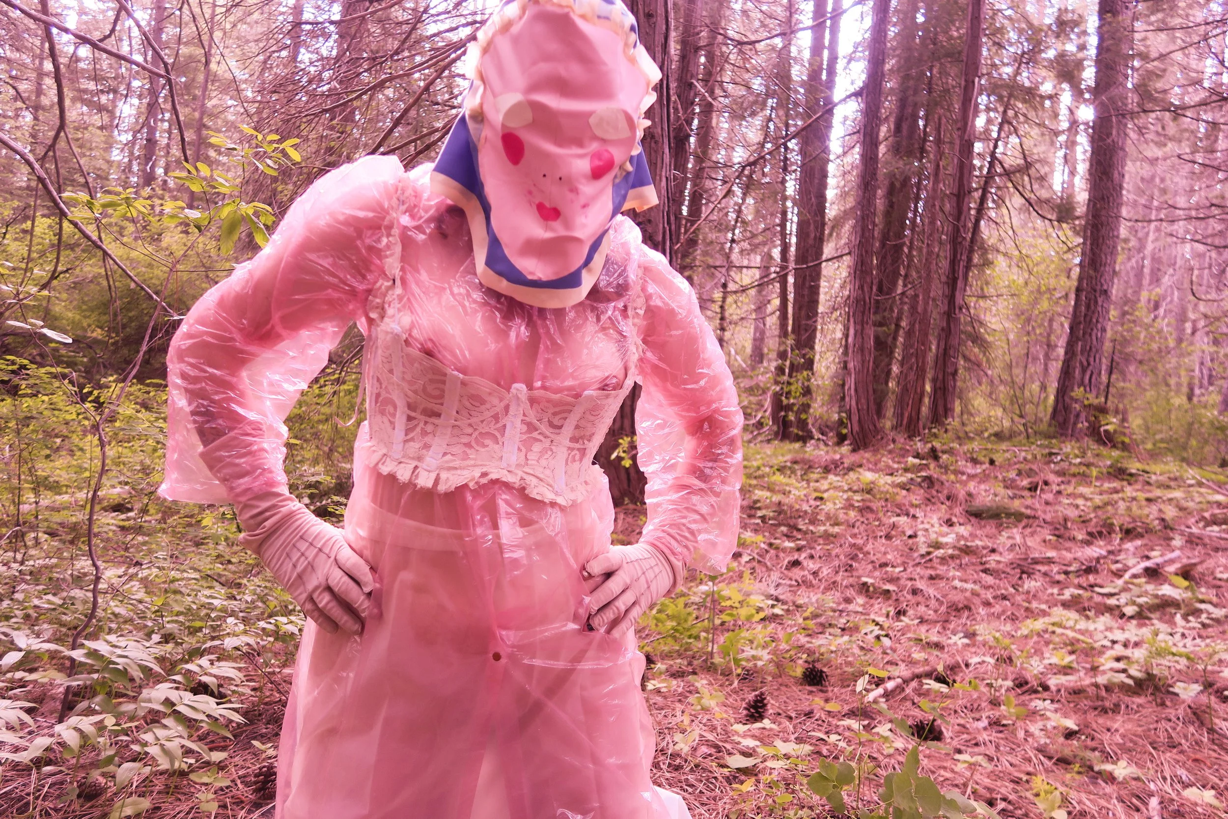 rubber in shasta.jpg