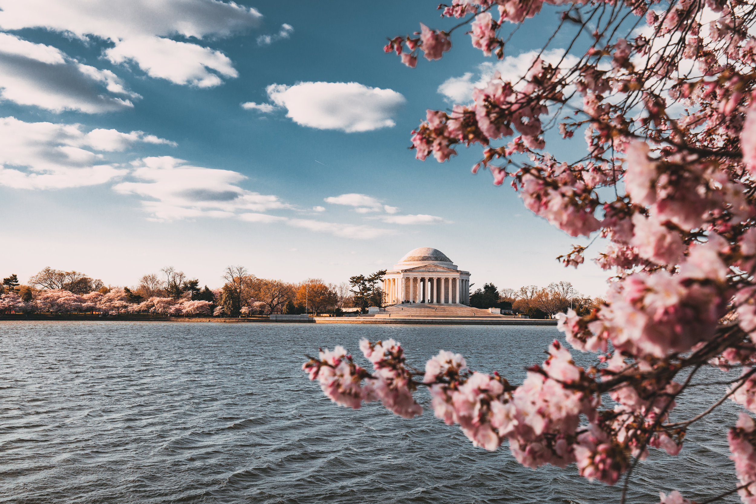 Washington DC