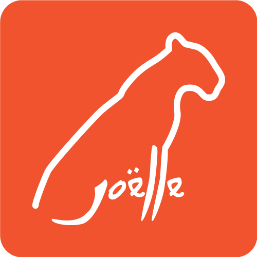 Orange Joëlle Storet Logo