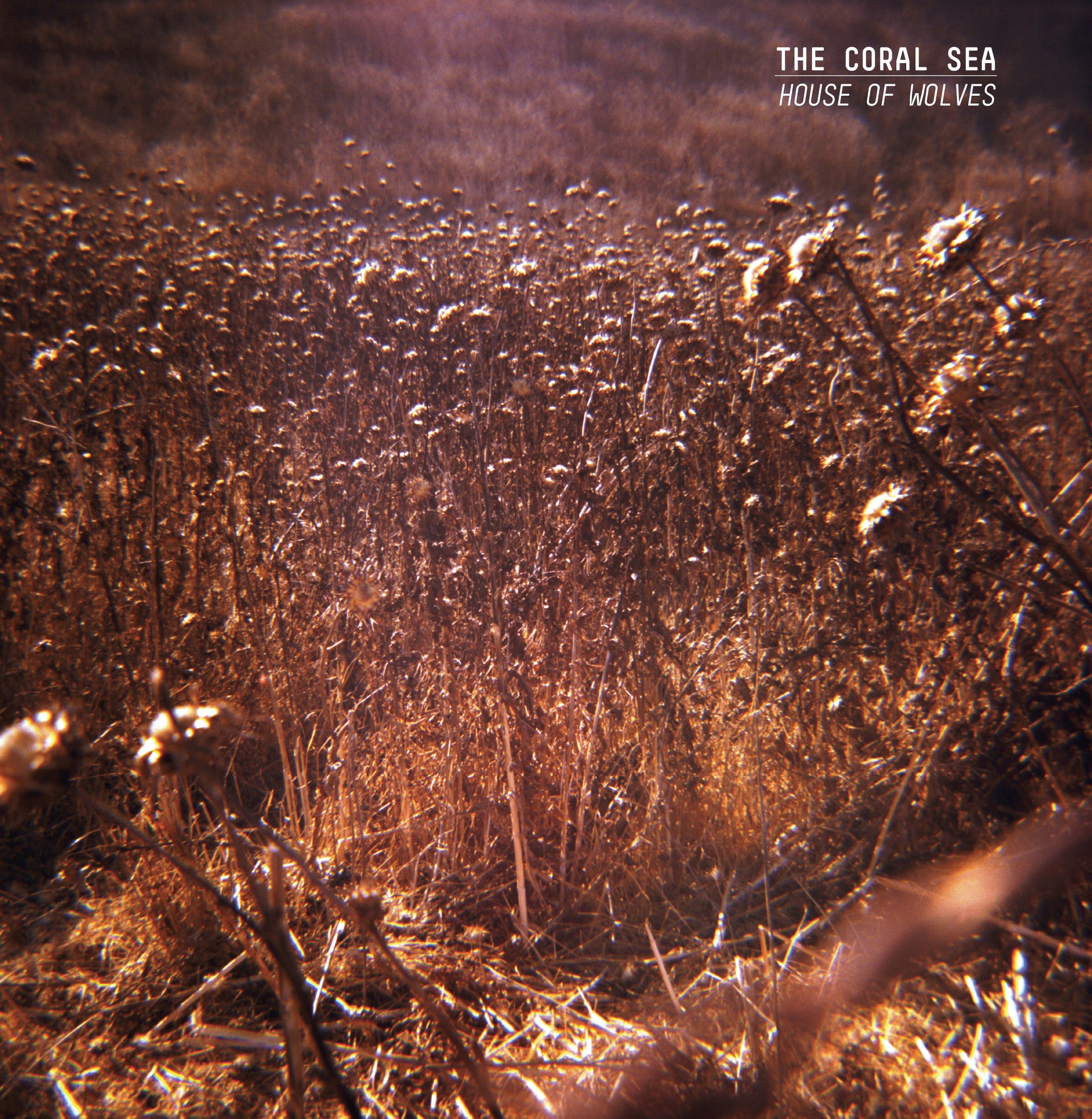 The Coral Sea - House of Wolves