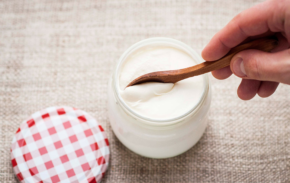Image Credit:&nbsp;http://www.makeyourownyogurt.com/