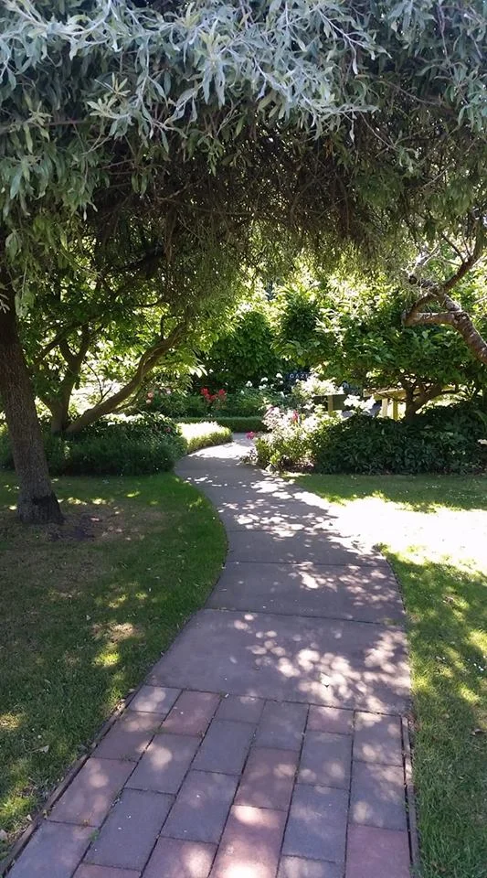 timboon garden.jpg