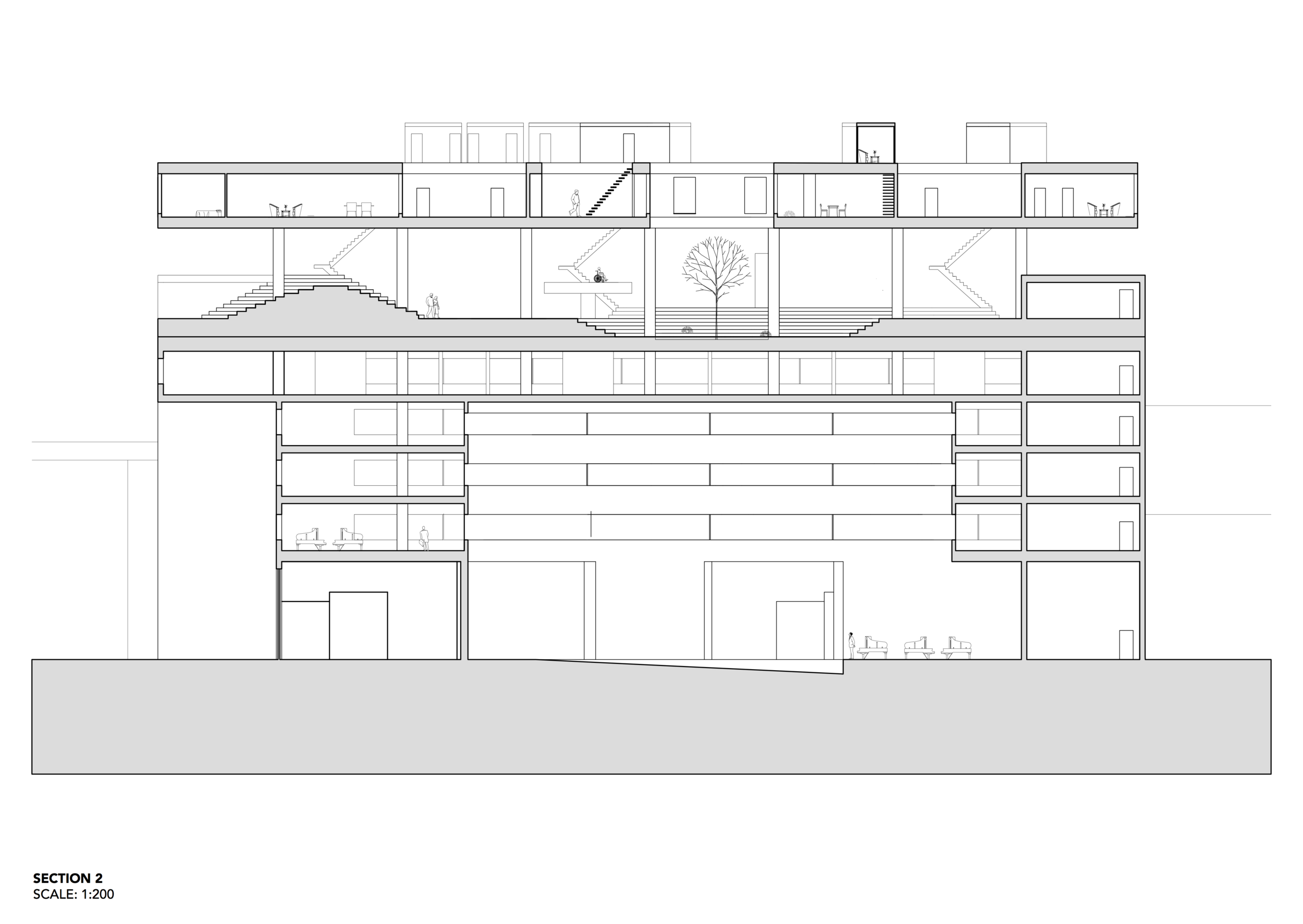 section2.png