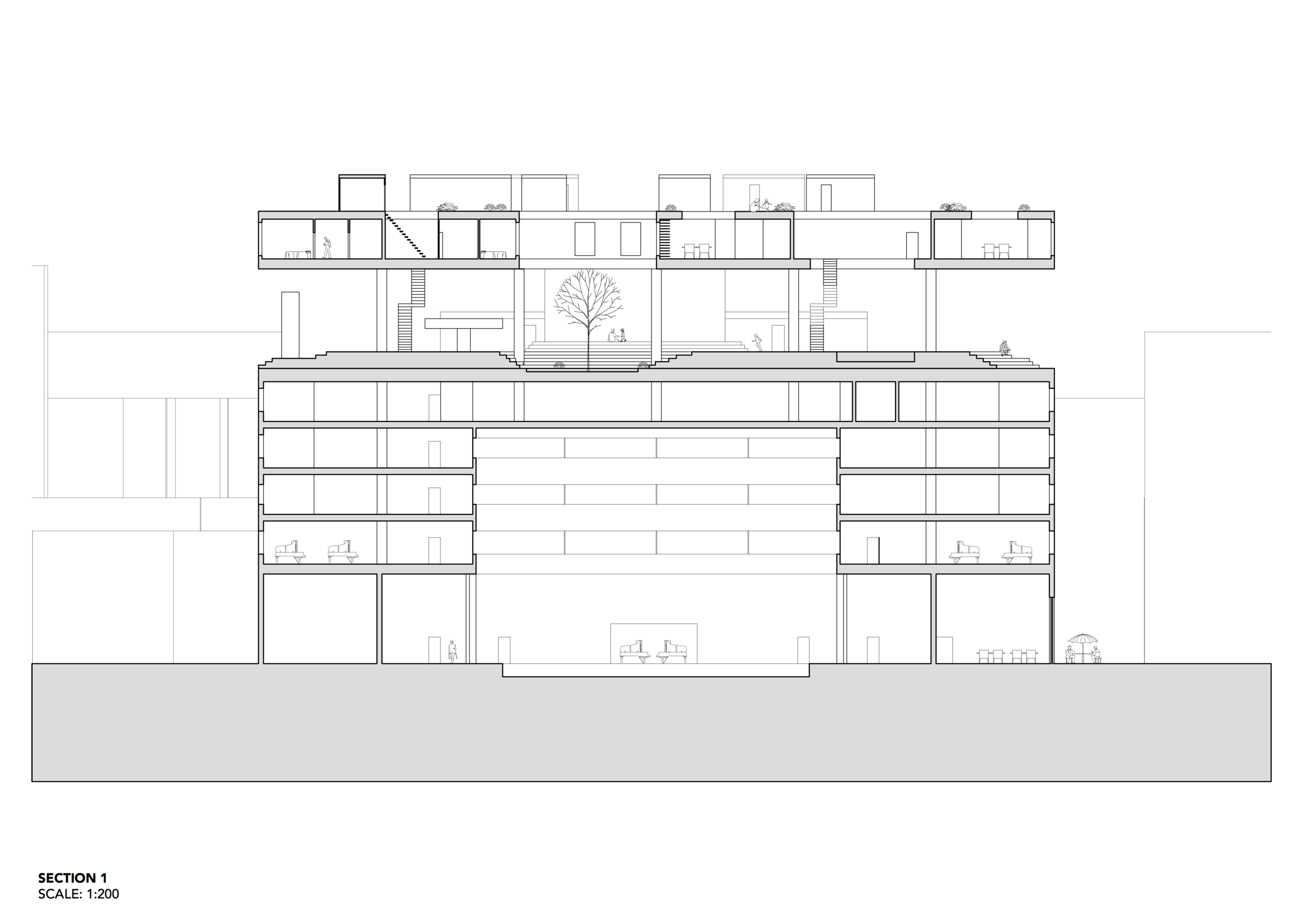 section1.png
