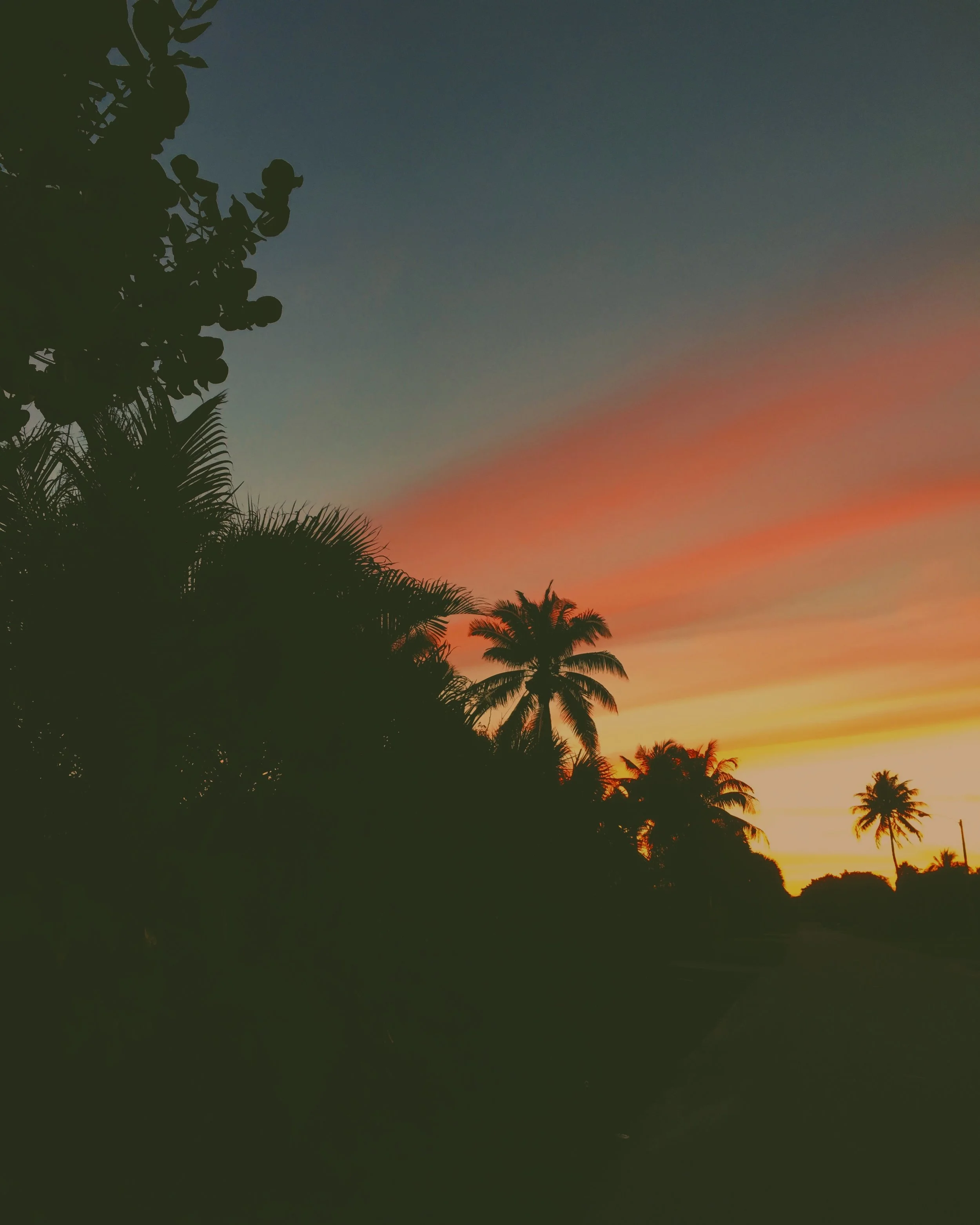  boca raton, fl / march 2017 