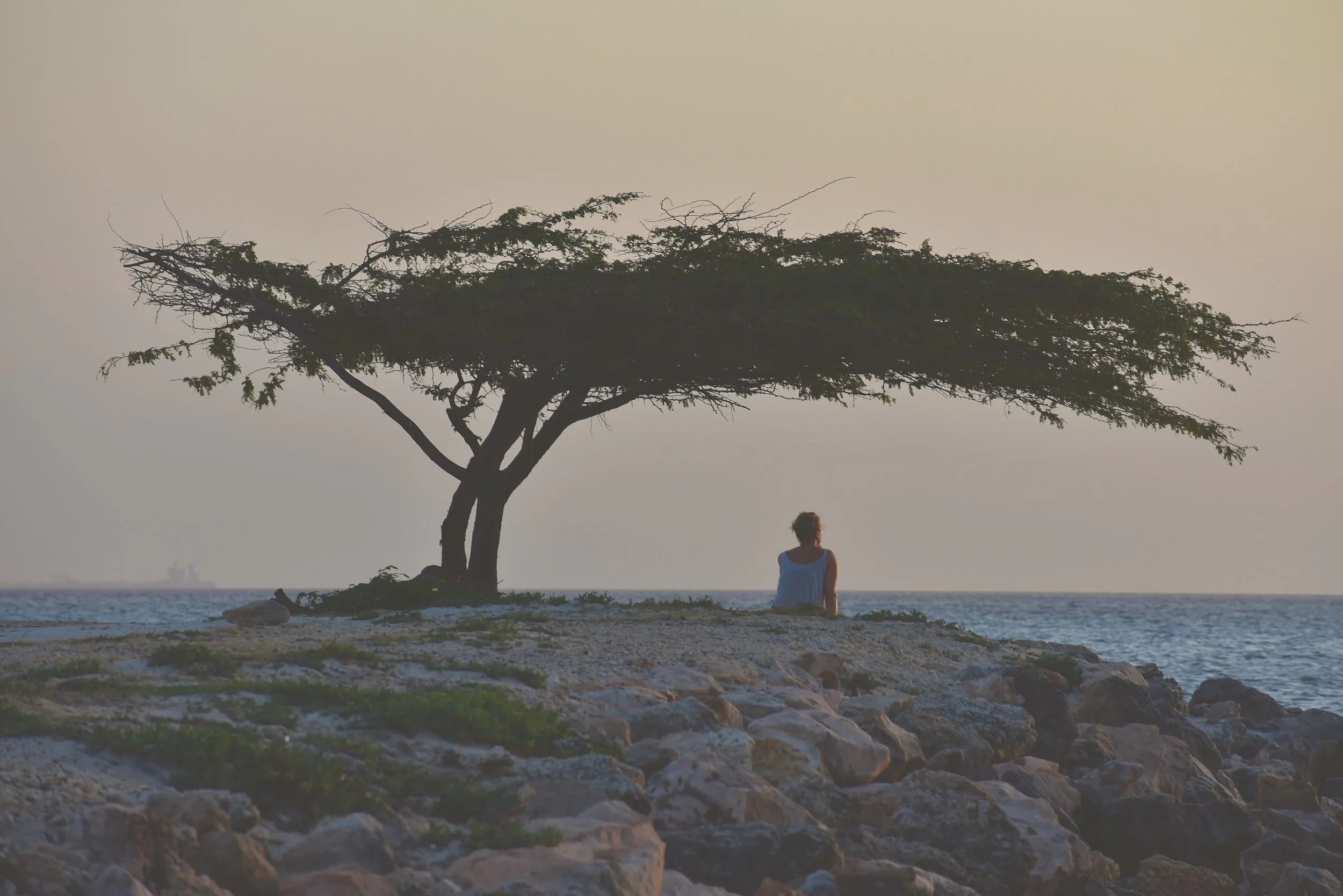  oranjestad, aruba / january 2019 