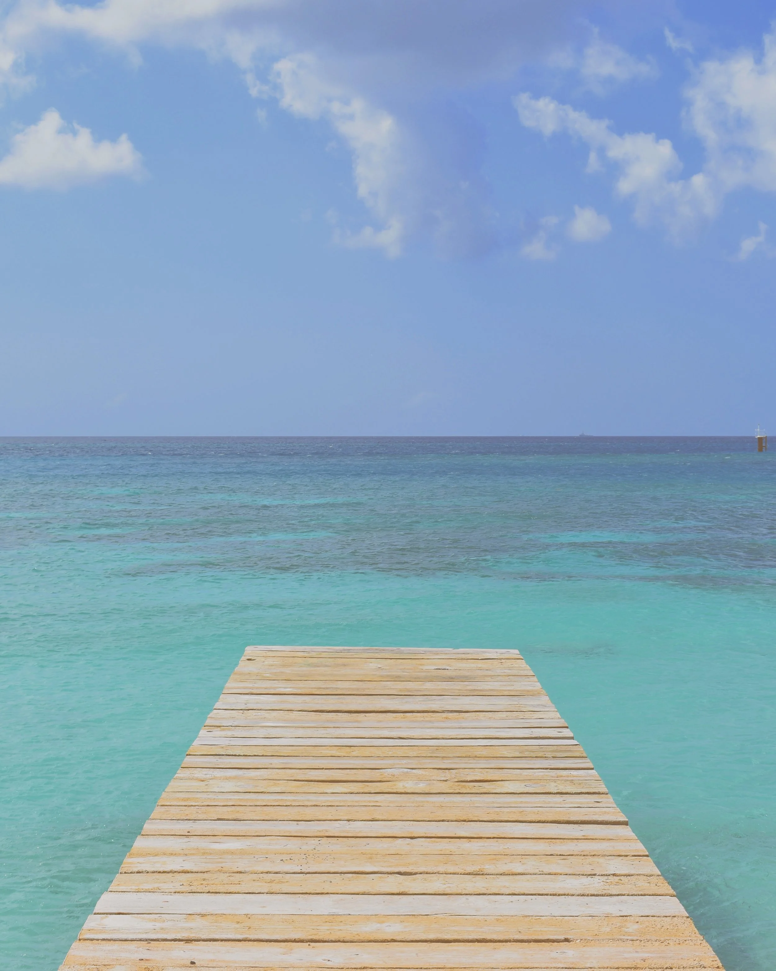  aruba / january 2019 