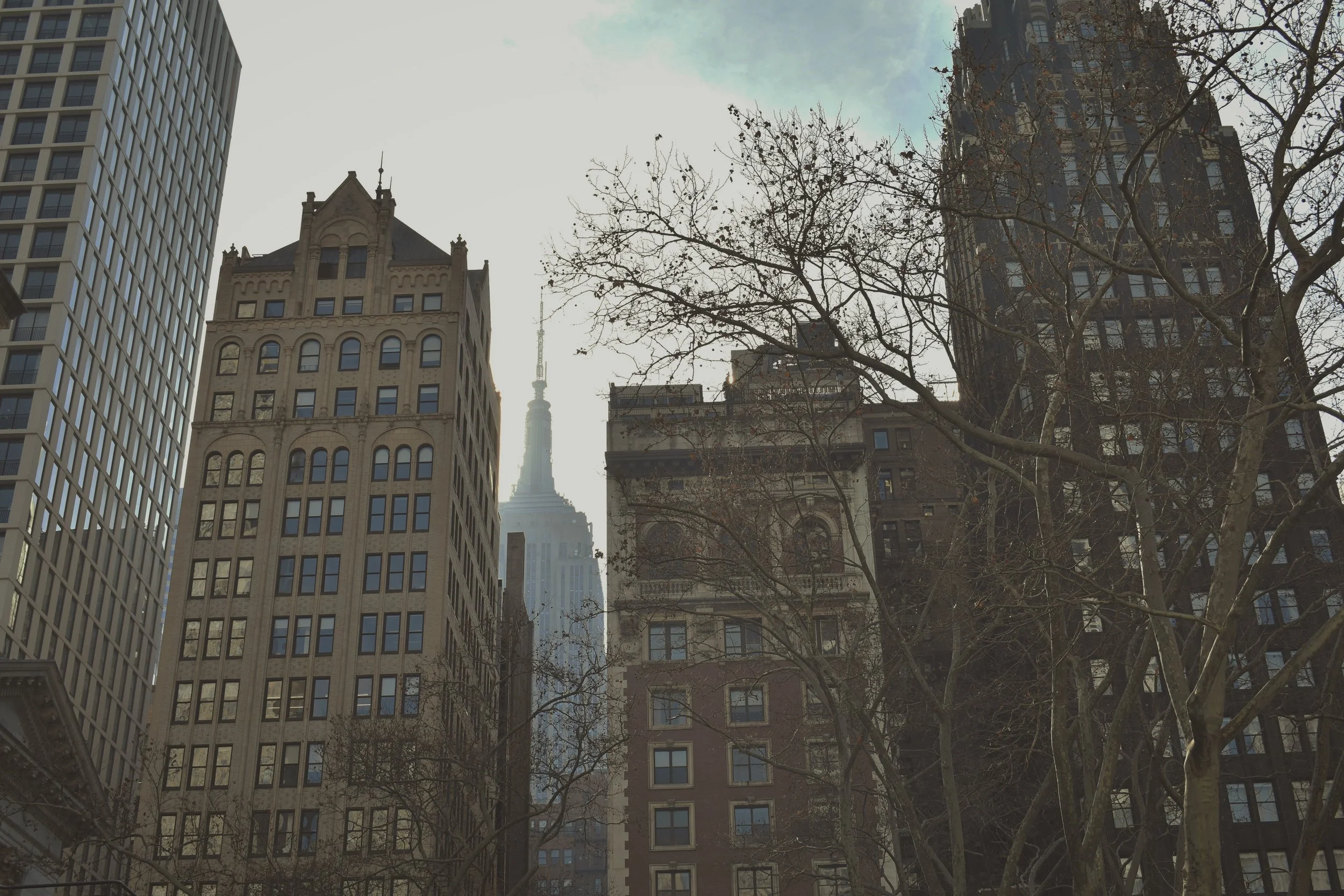  new york, ny/ february 2019 