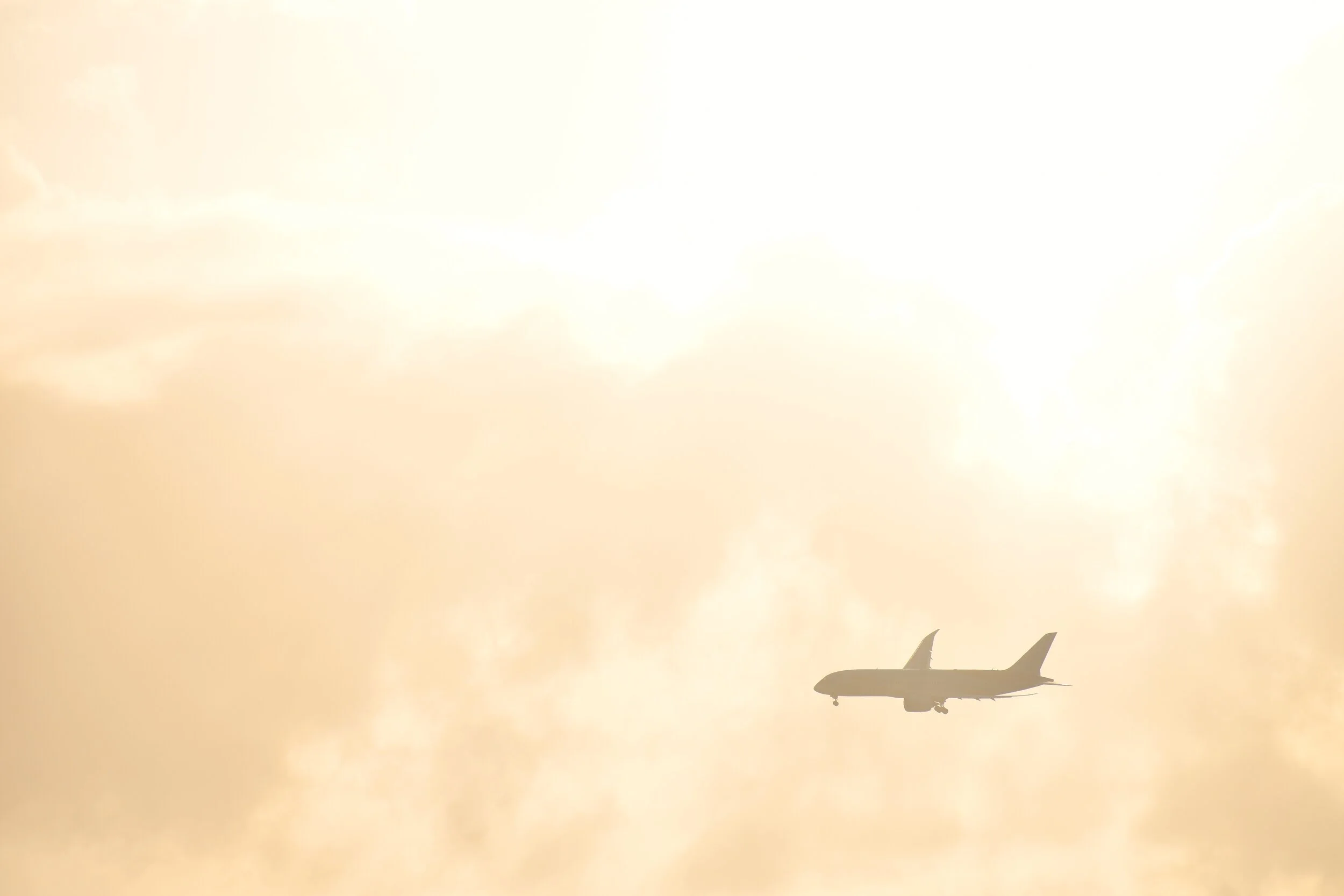  queen beatrix international airport, oranjestad, aruba / january 2019 