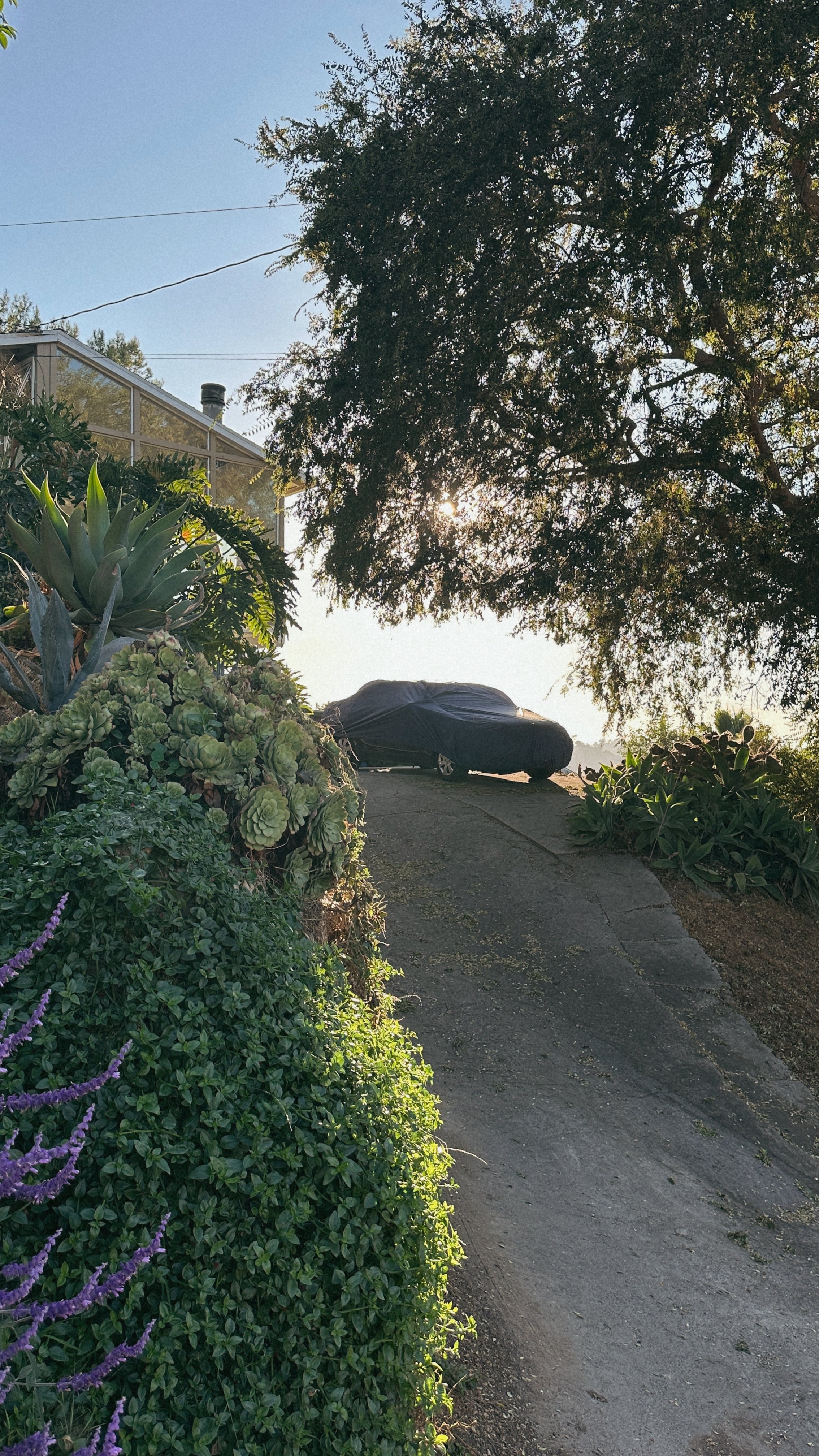  los angeles, ca / september 2024 