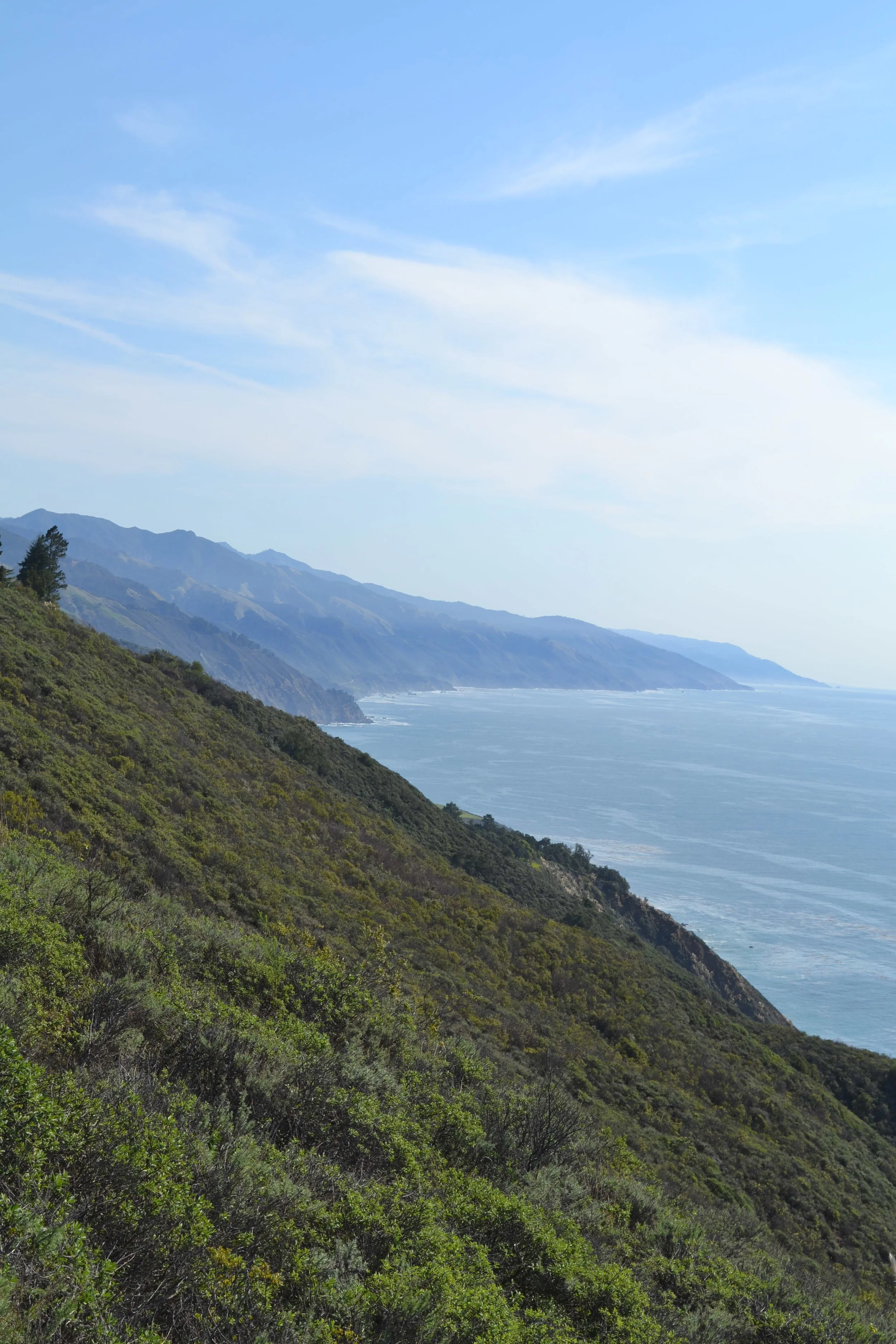 DSC_0136.JPG