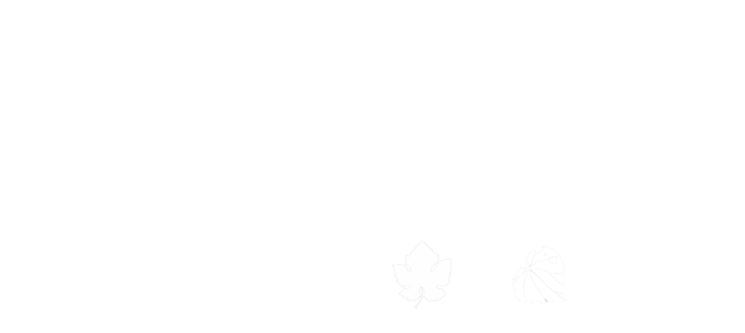 Paris Butter