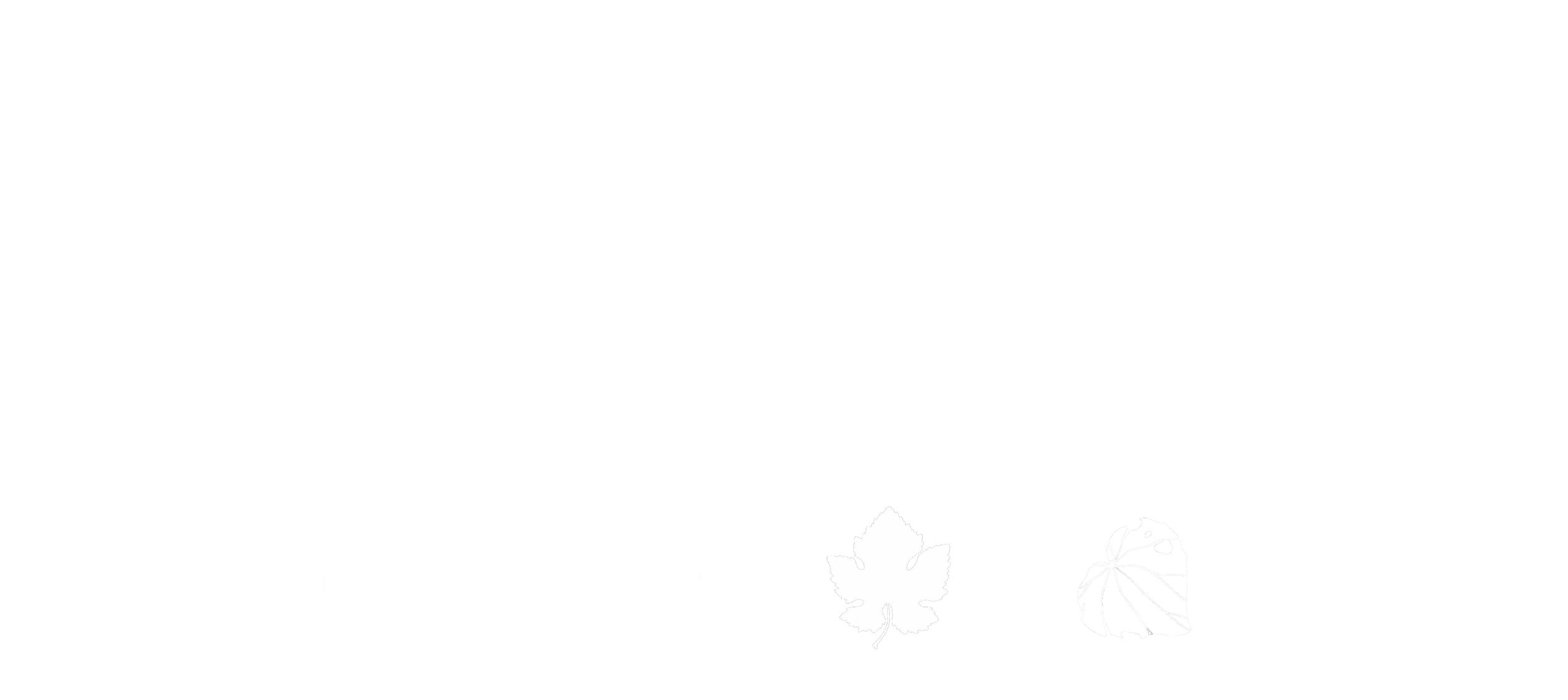 ParisButter