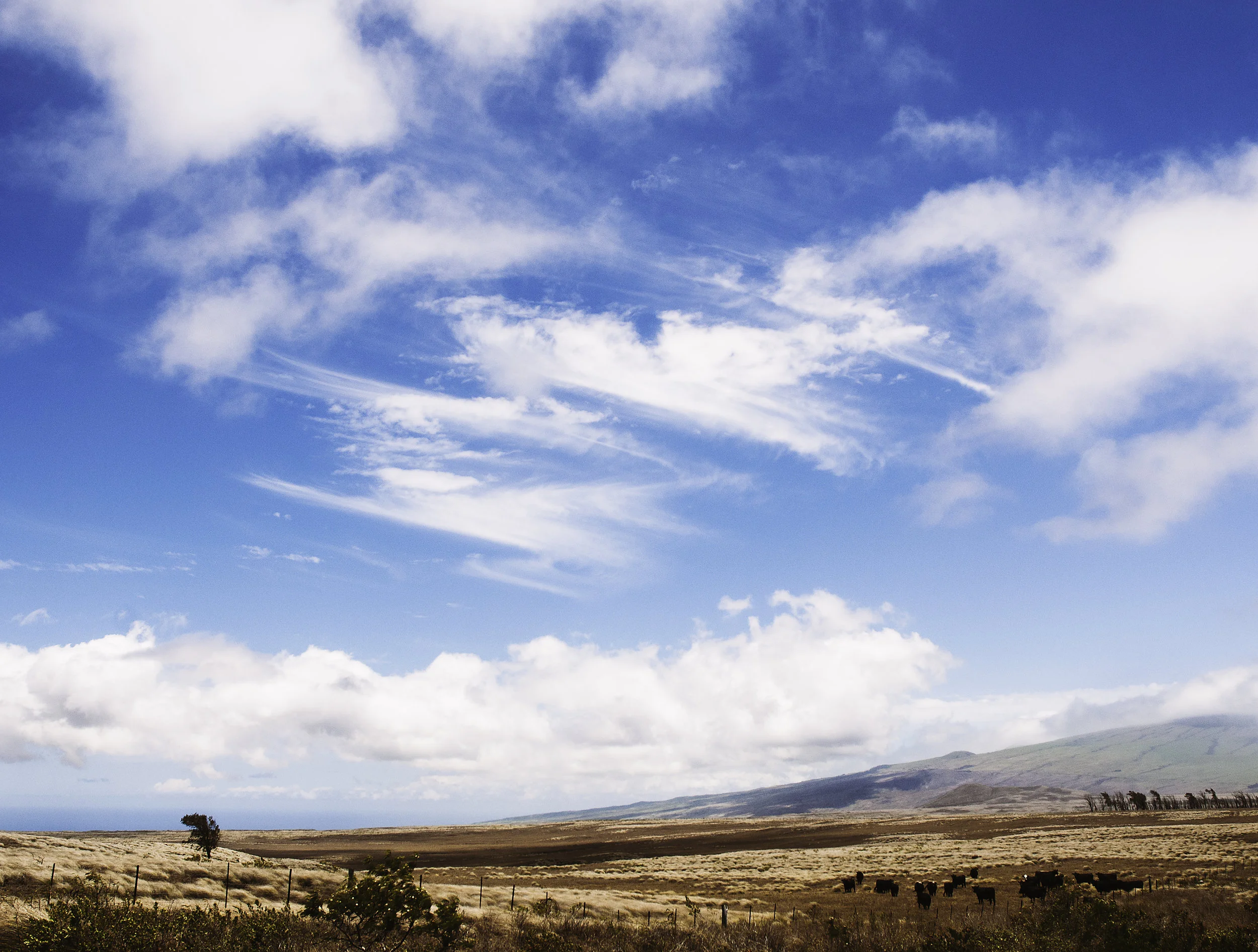 _DSC7892.jpg