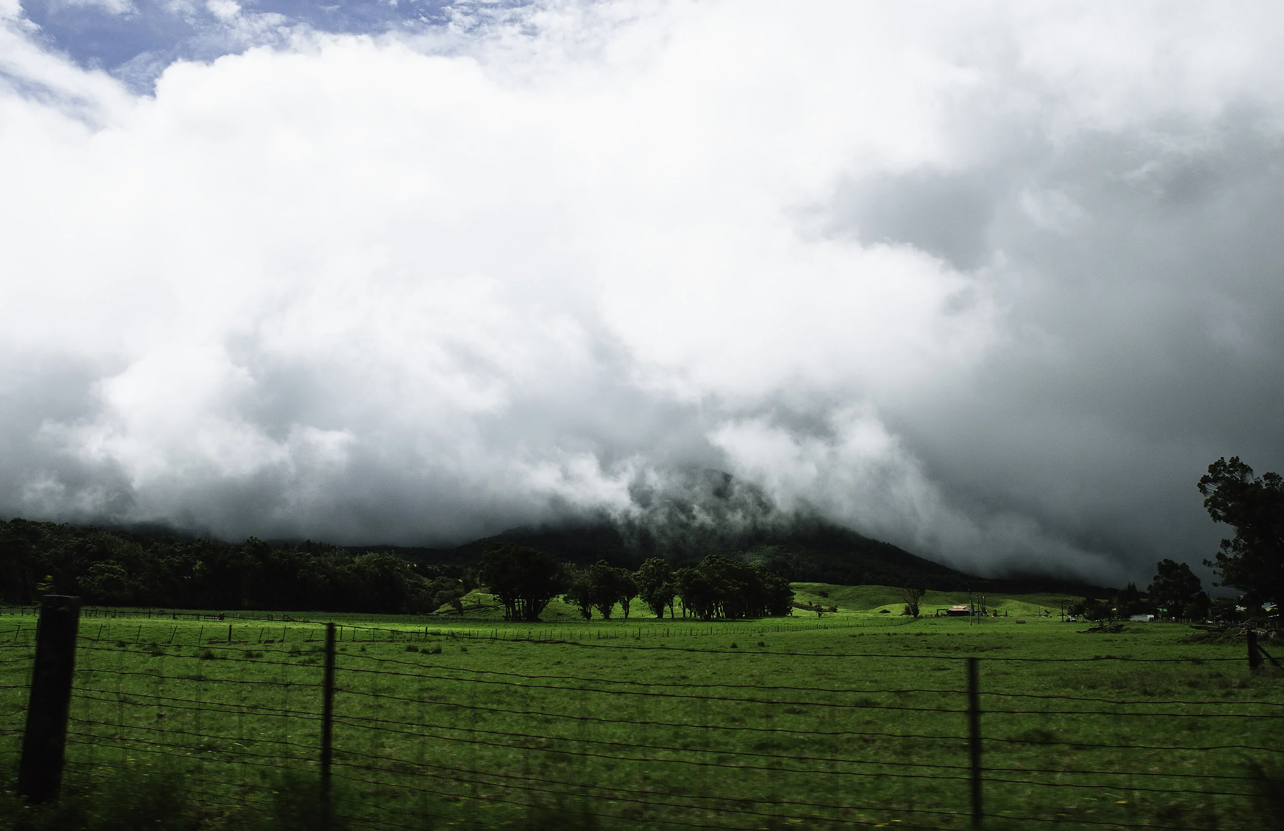 _DSC8037.jpg