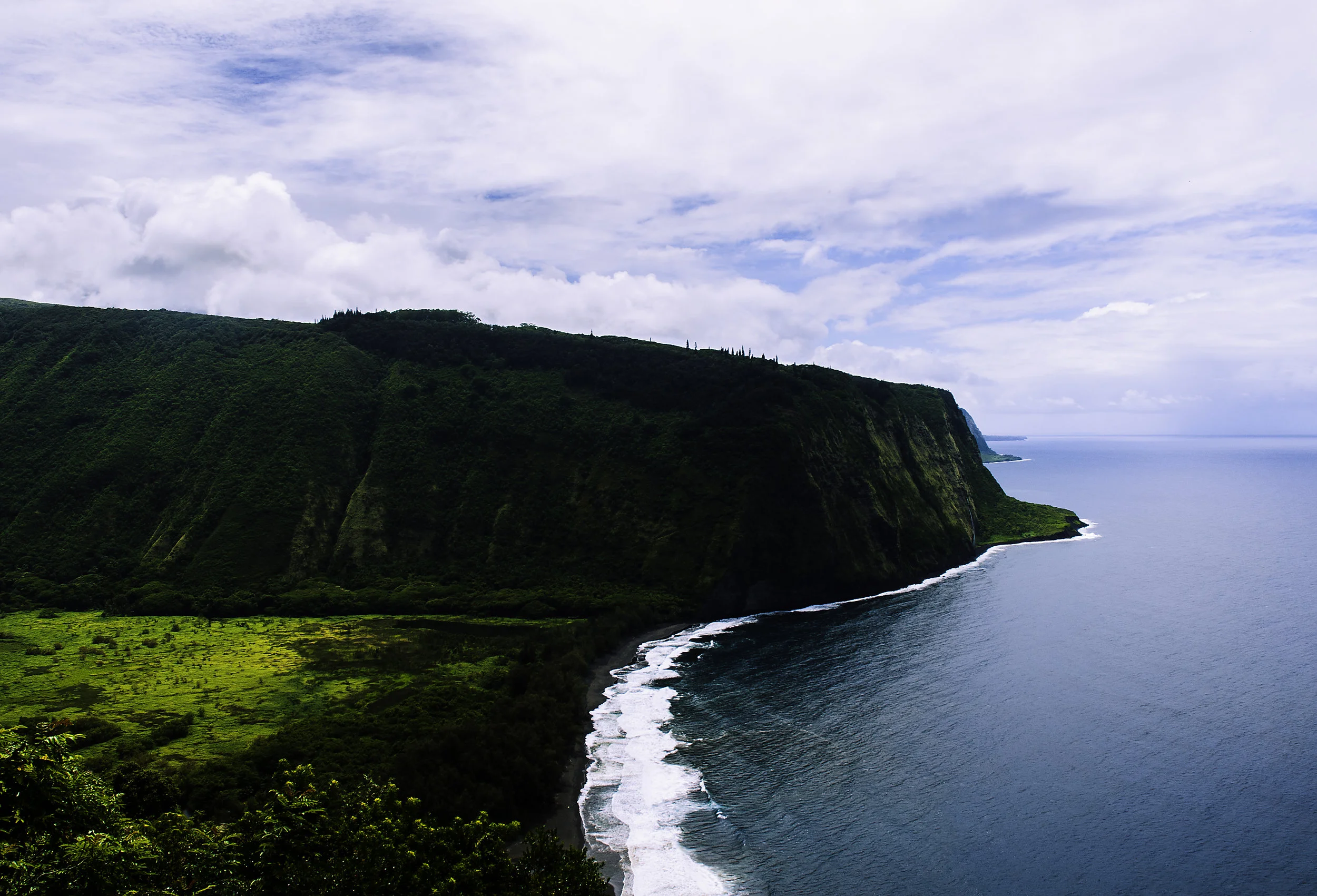 _DSC8009.jpg