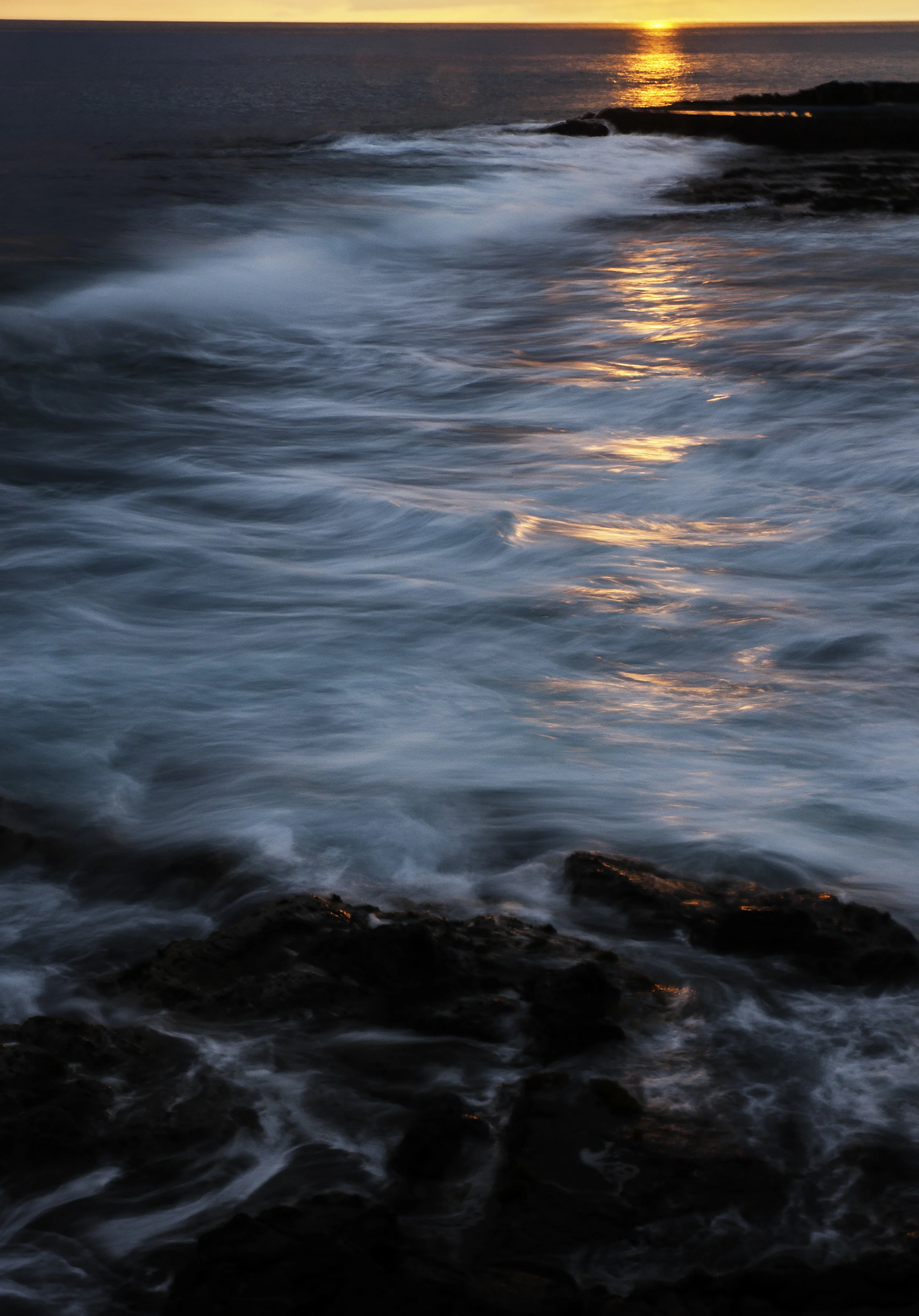 _DSC8143.jpg