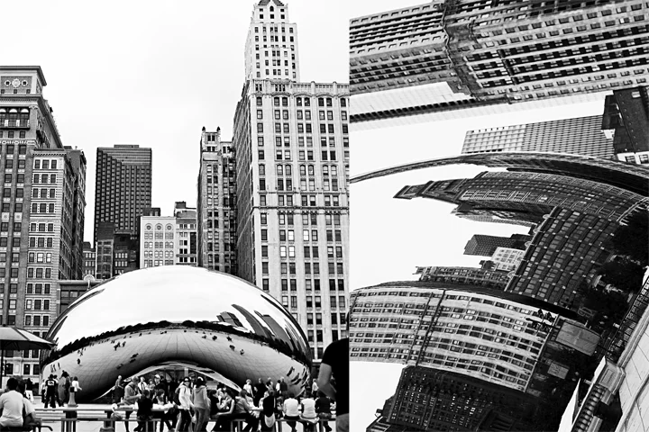 thebean2.jpg