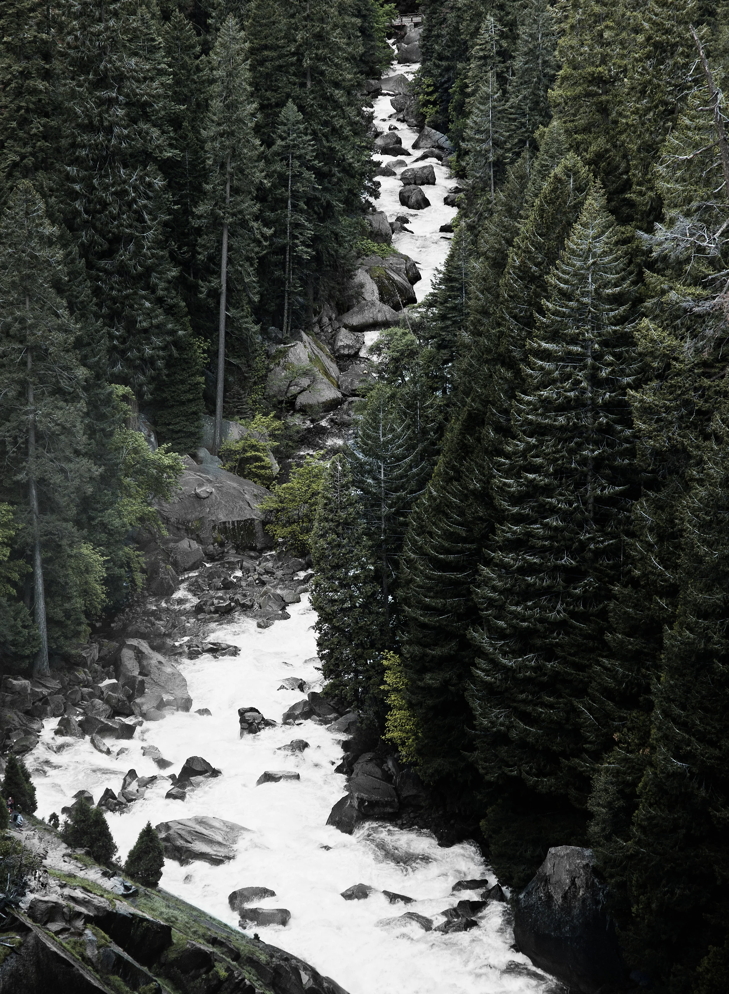 _DSC4685.jpg
