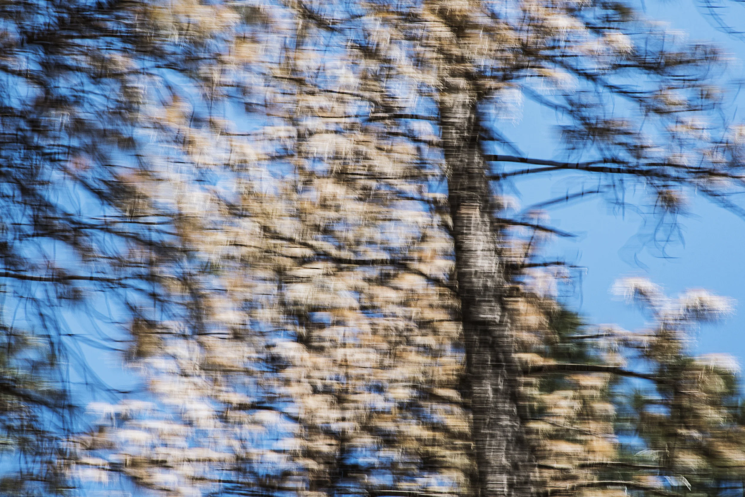 _DSC2843.jpg