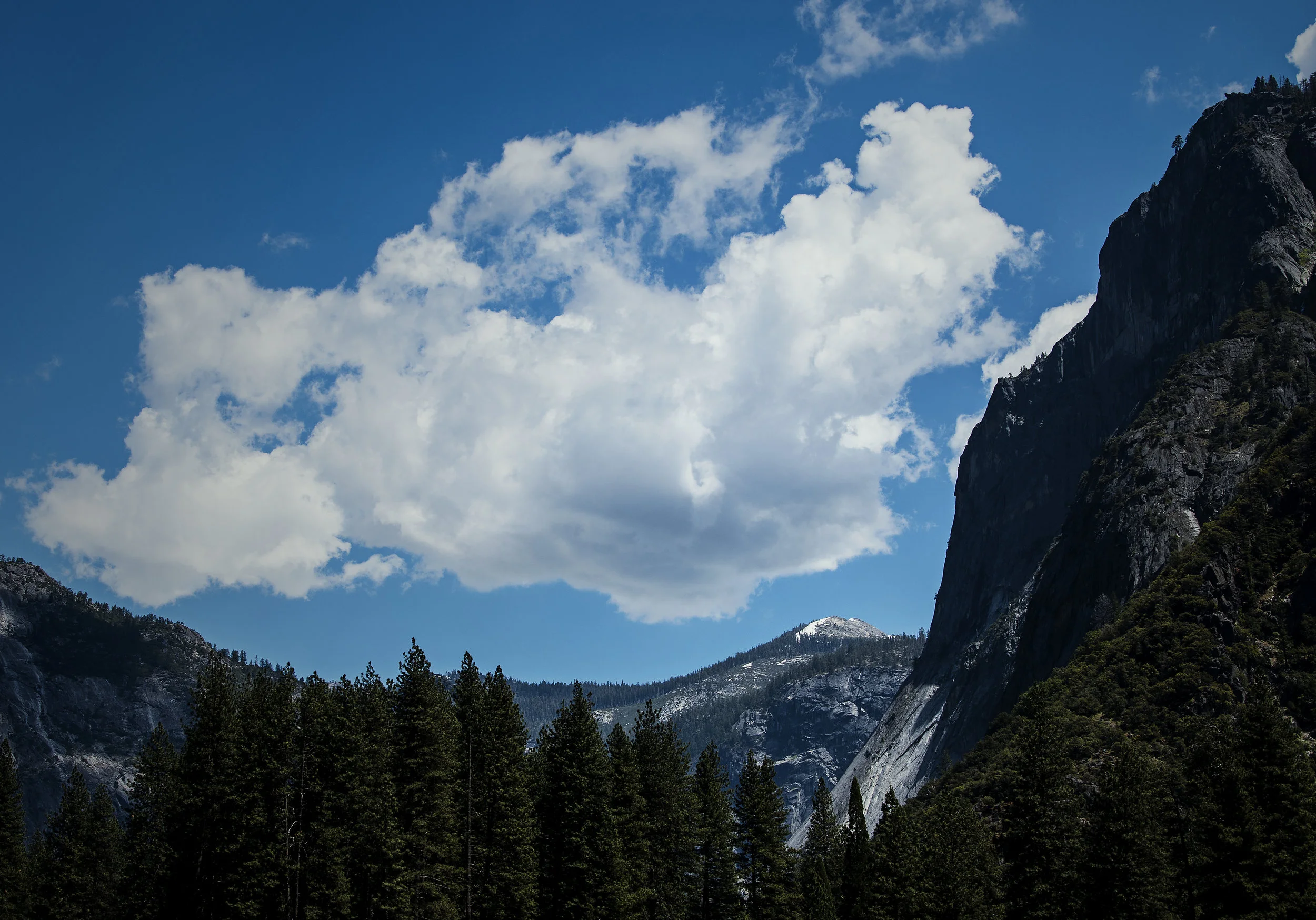 _DSC2875.jpg