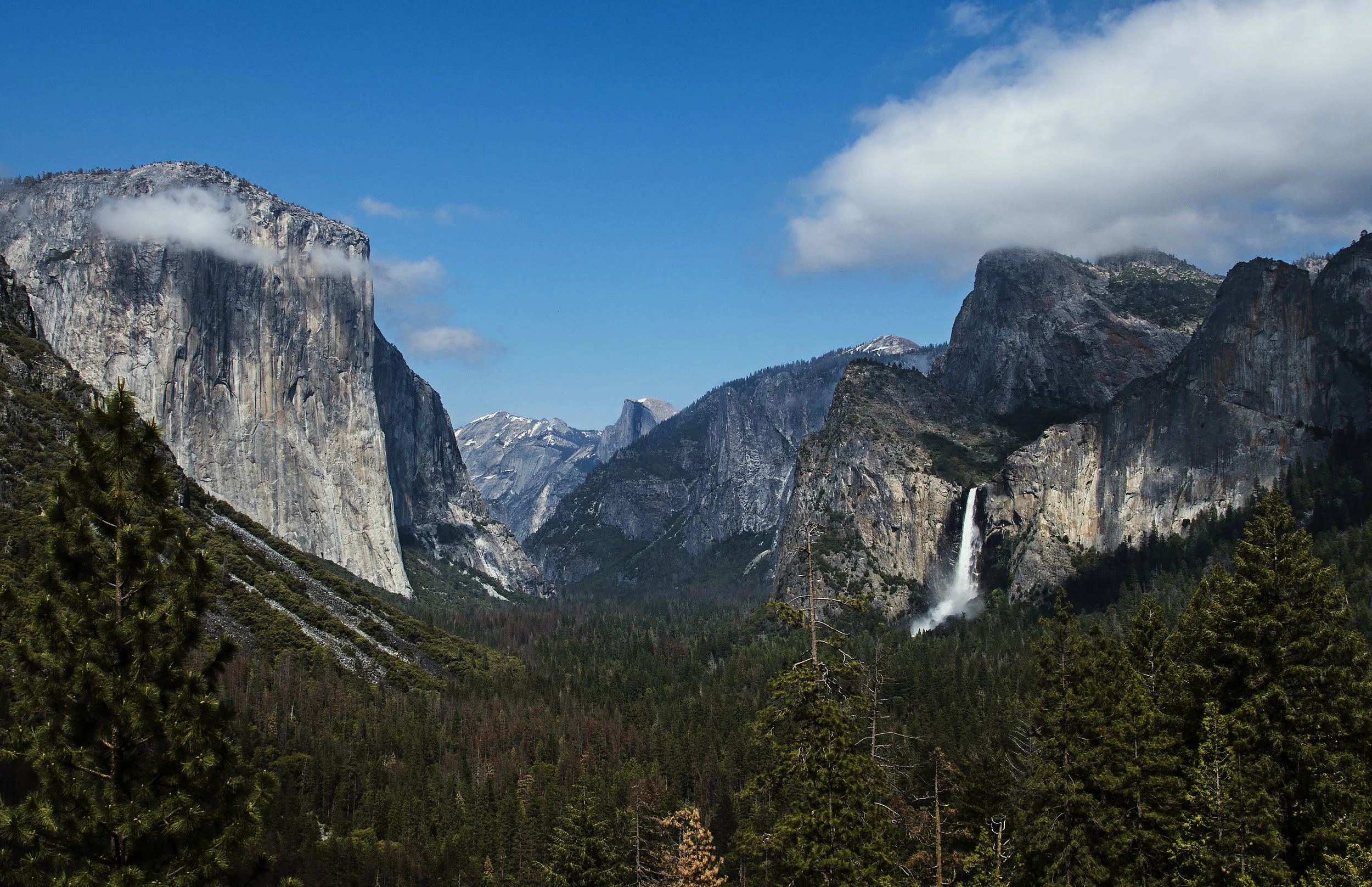 _DSC2629.jpg
