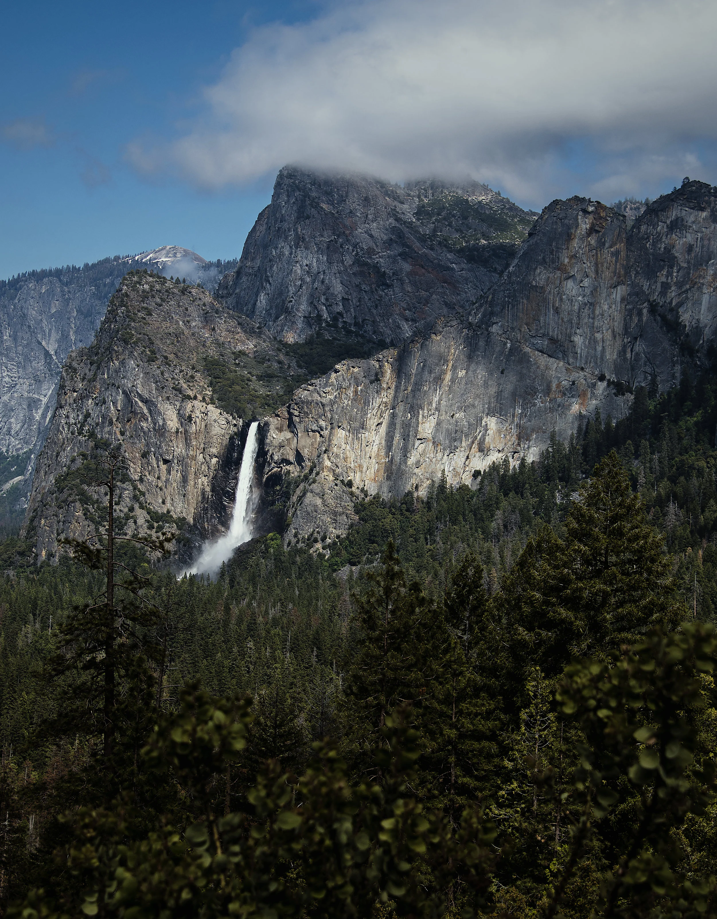 _DSC2608.jpg