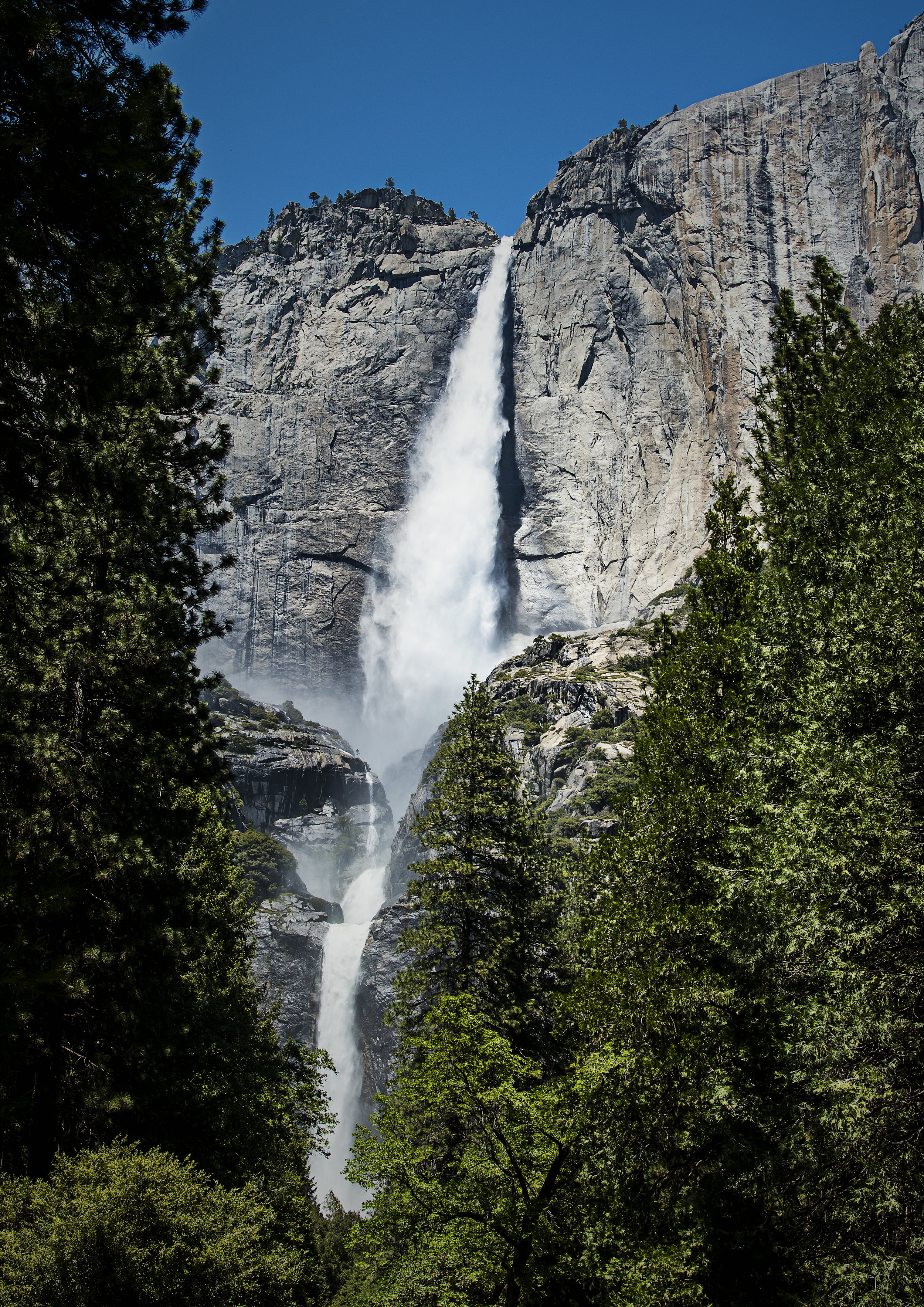 _DSC2811.jpg
