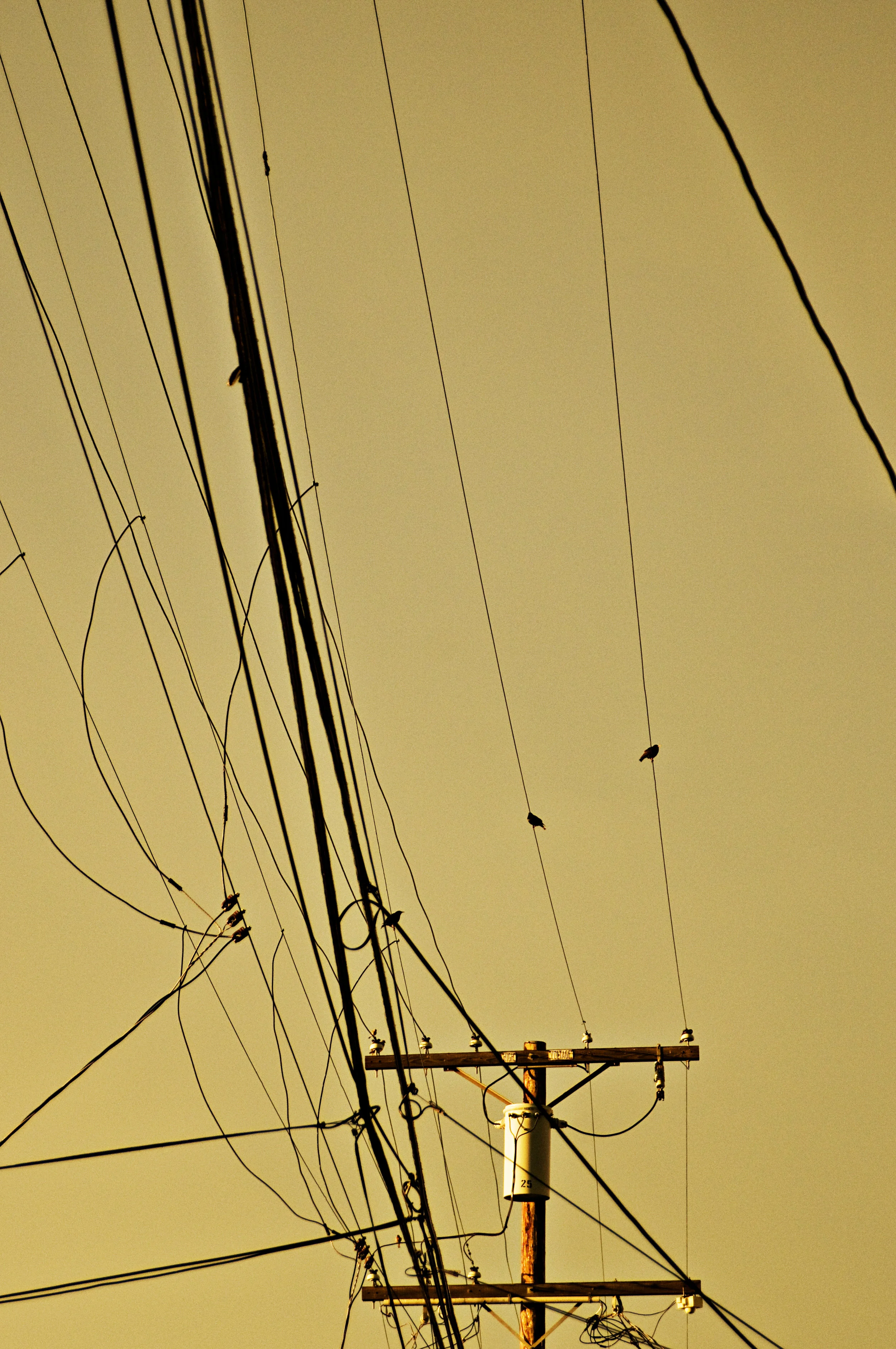 wires.jpg