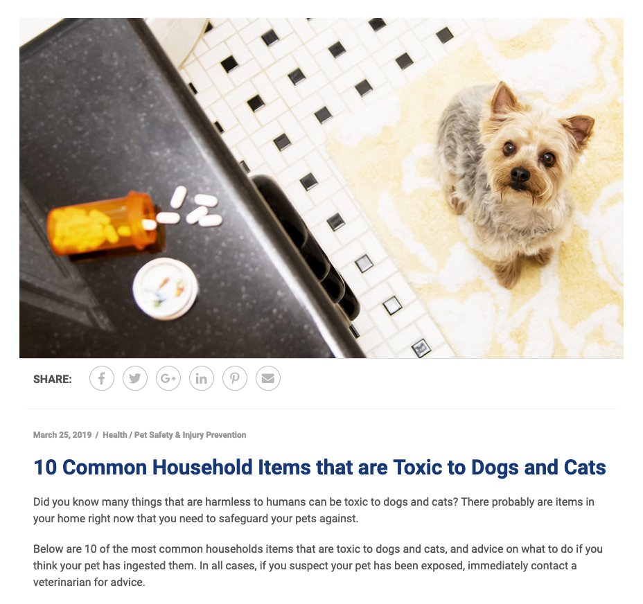 Screen Shot 2020-02-11 at 5.10.26 PM.png