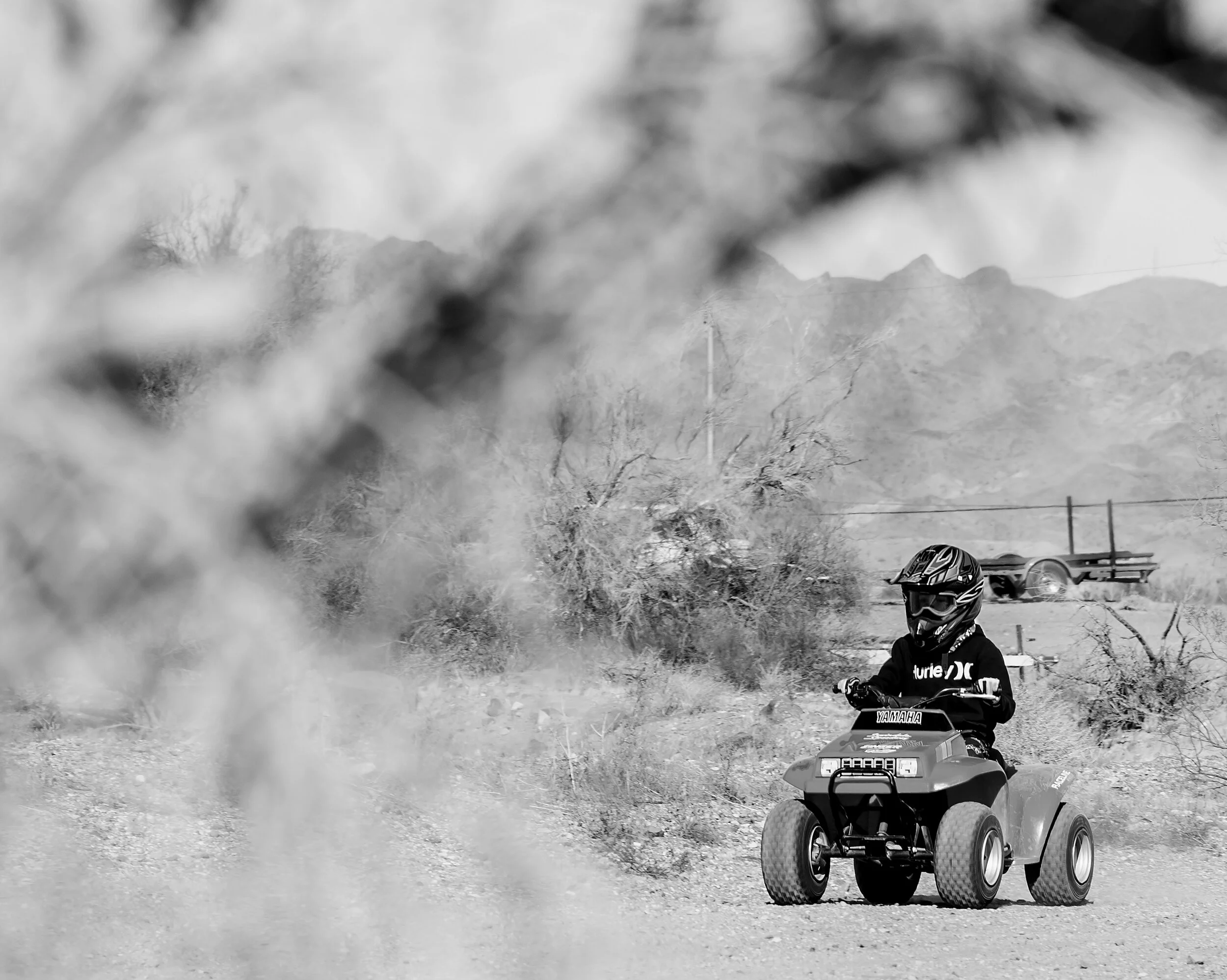 _DSC2791-Edit.jpg