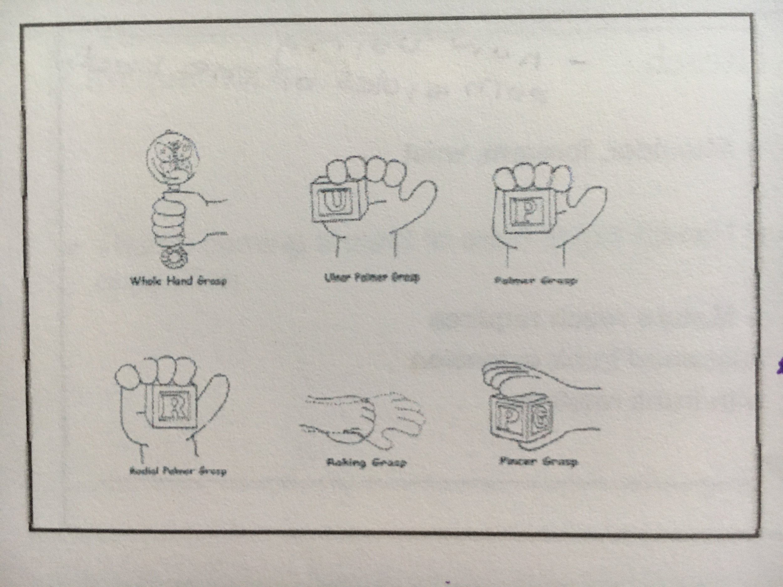 Developmental Grasp Patterns Chart