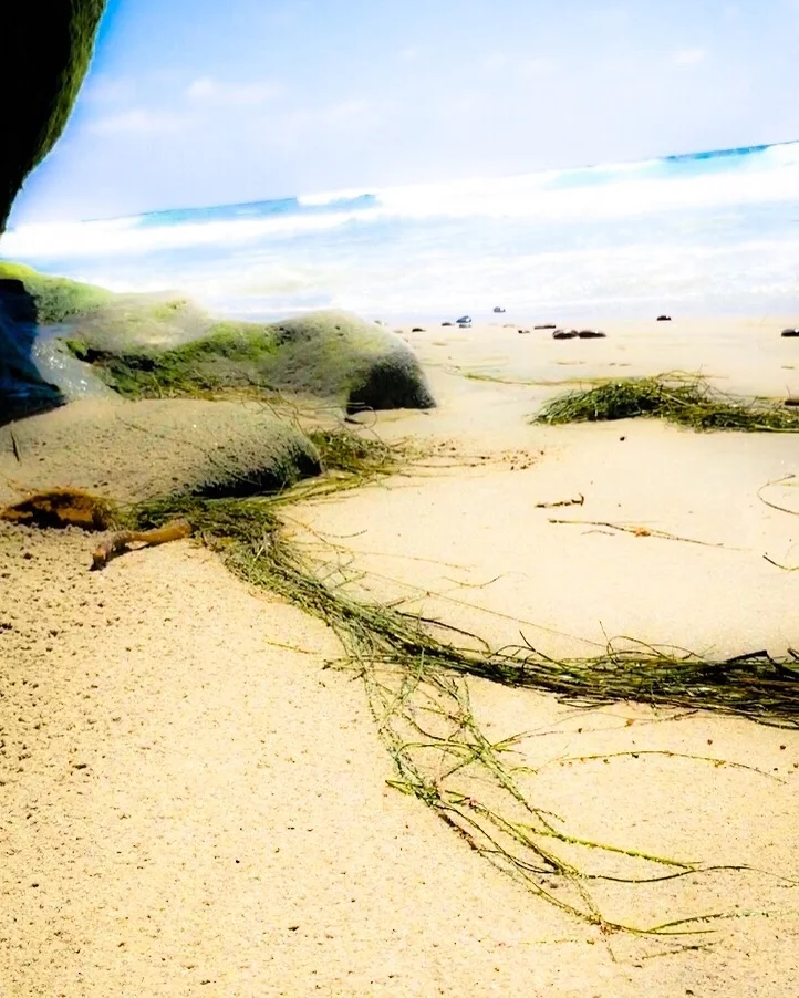 encinitas_beach_meditation.JPG