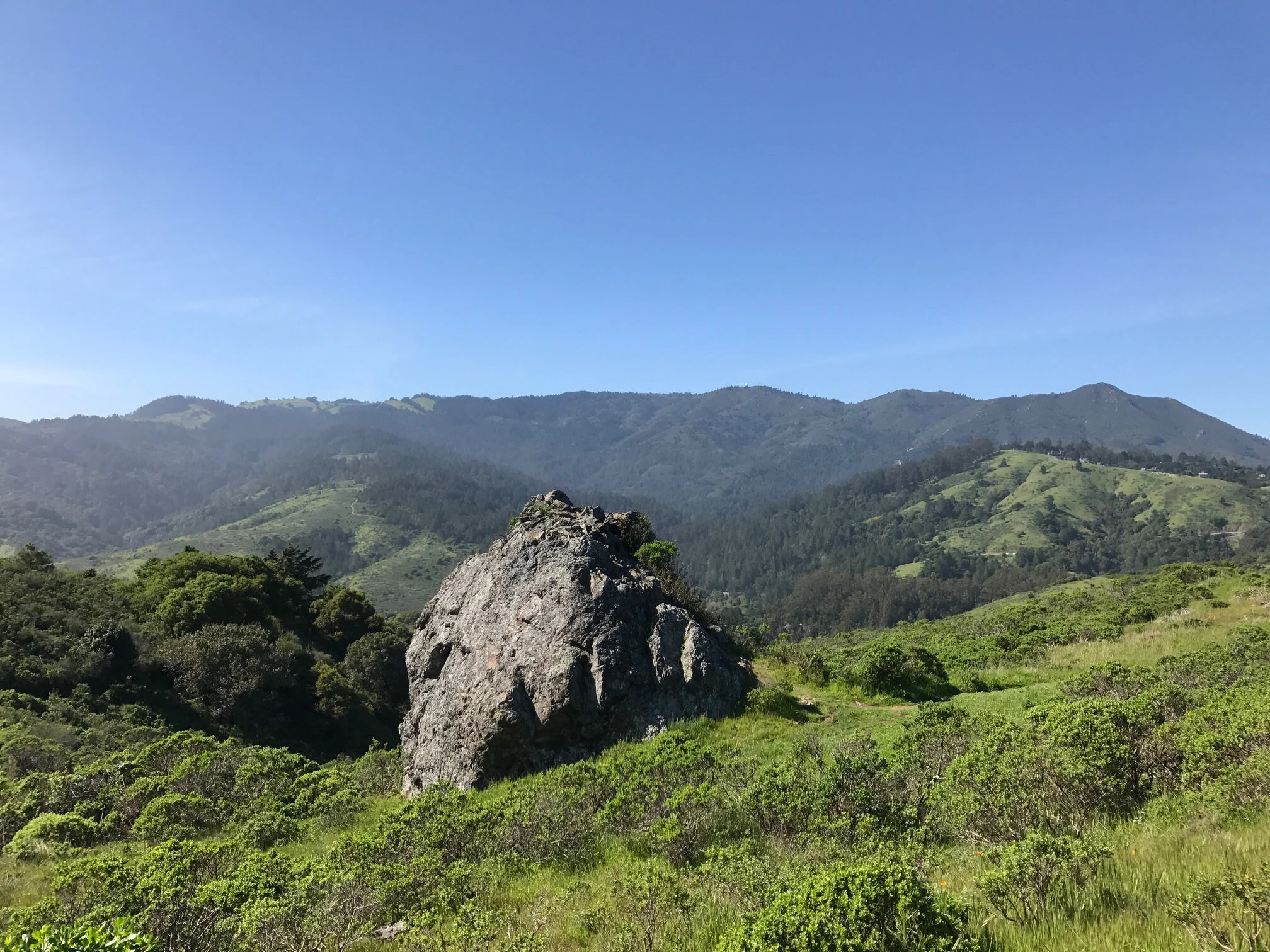 mttam.jpg