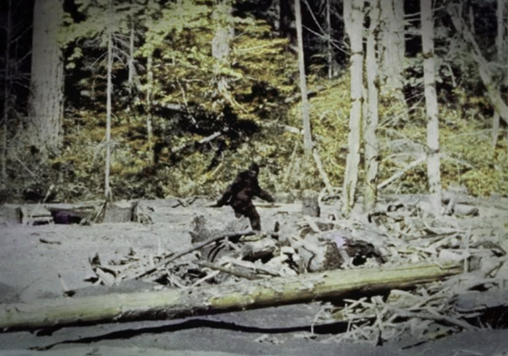 Biabin BLOG: Bigfoot A to Z — The Confessionals