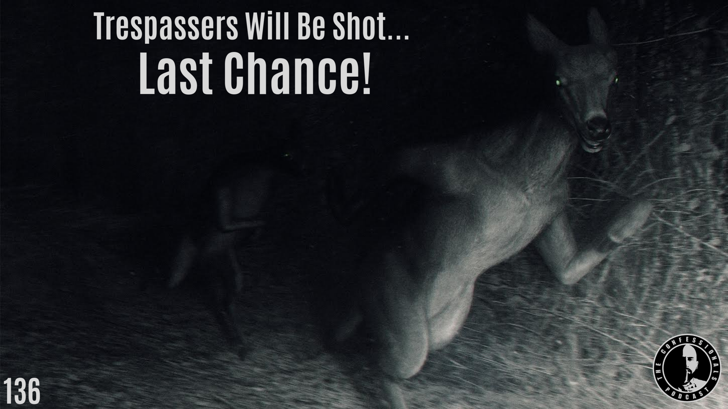 Trespassers Will Be Shot....png