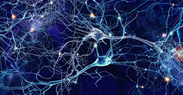 artificialmemory-neurons-main_resize_md.jpg