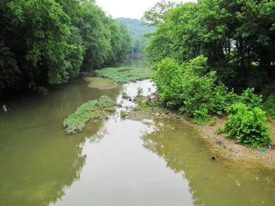 Green_River_in_Kentucky.jpg