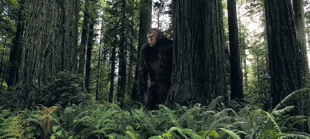 BLOG: The Five Best Places to Look for Bigfoot