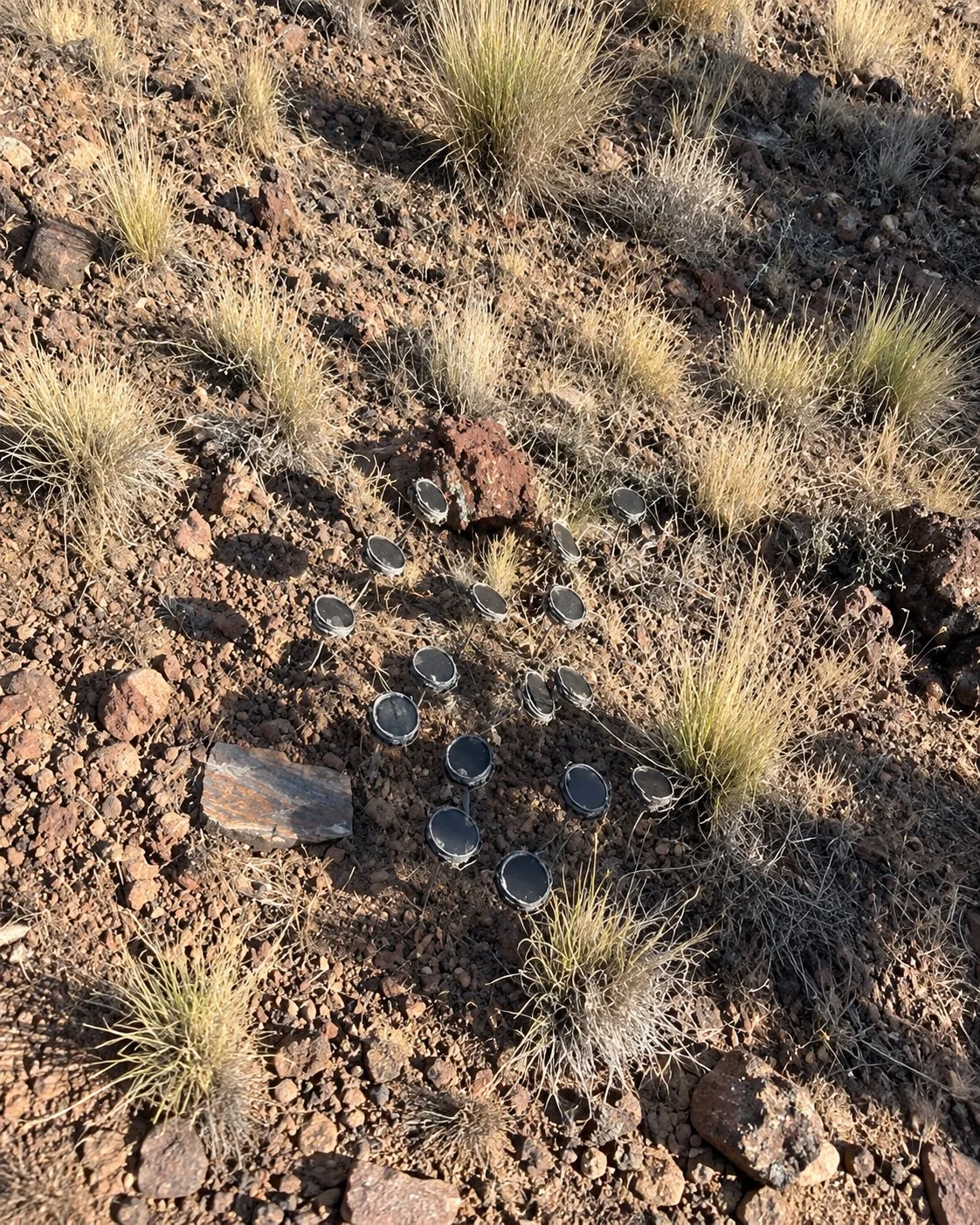 READ: Hundreds of Mysterious Speakers Found Screaming Near Mount Shasta