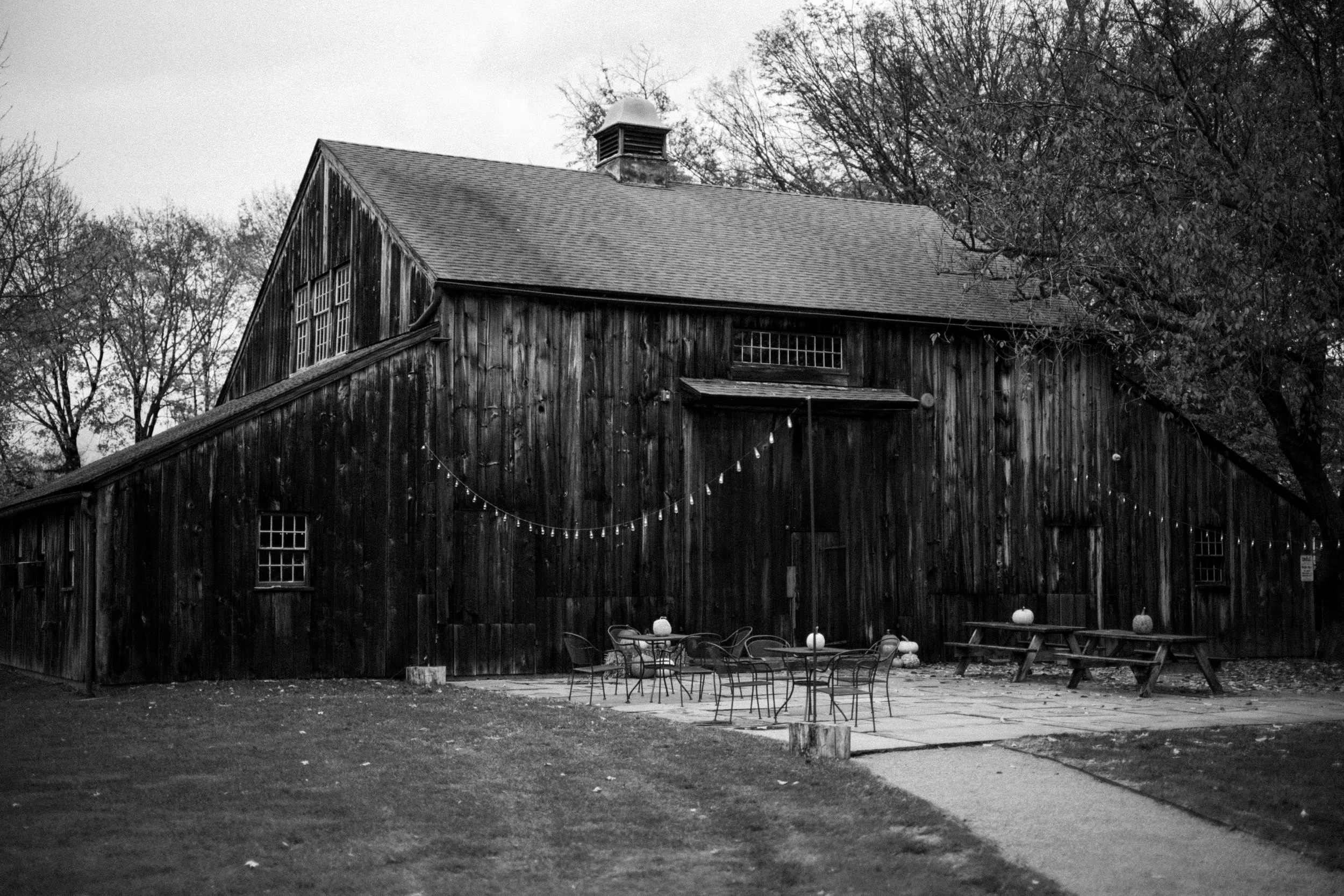2025-11-16 WDS 0400 BW.jpg